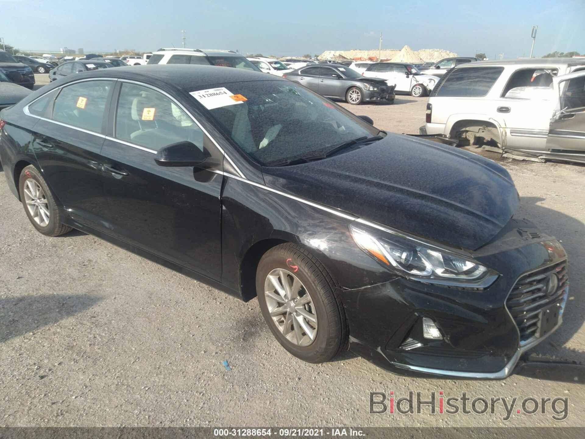 Photo 5NPE24AF7KH785066 - HYUNDAI SONATA 2019