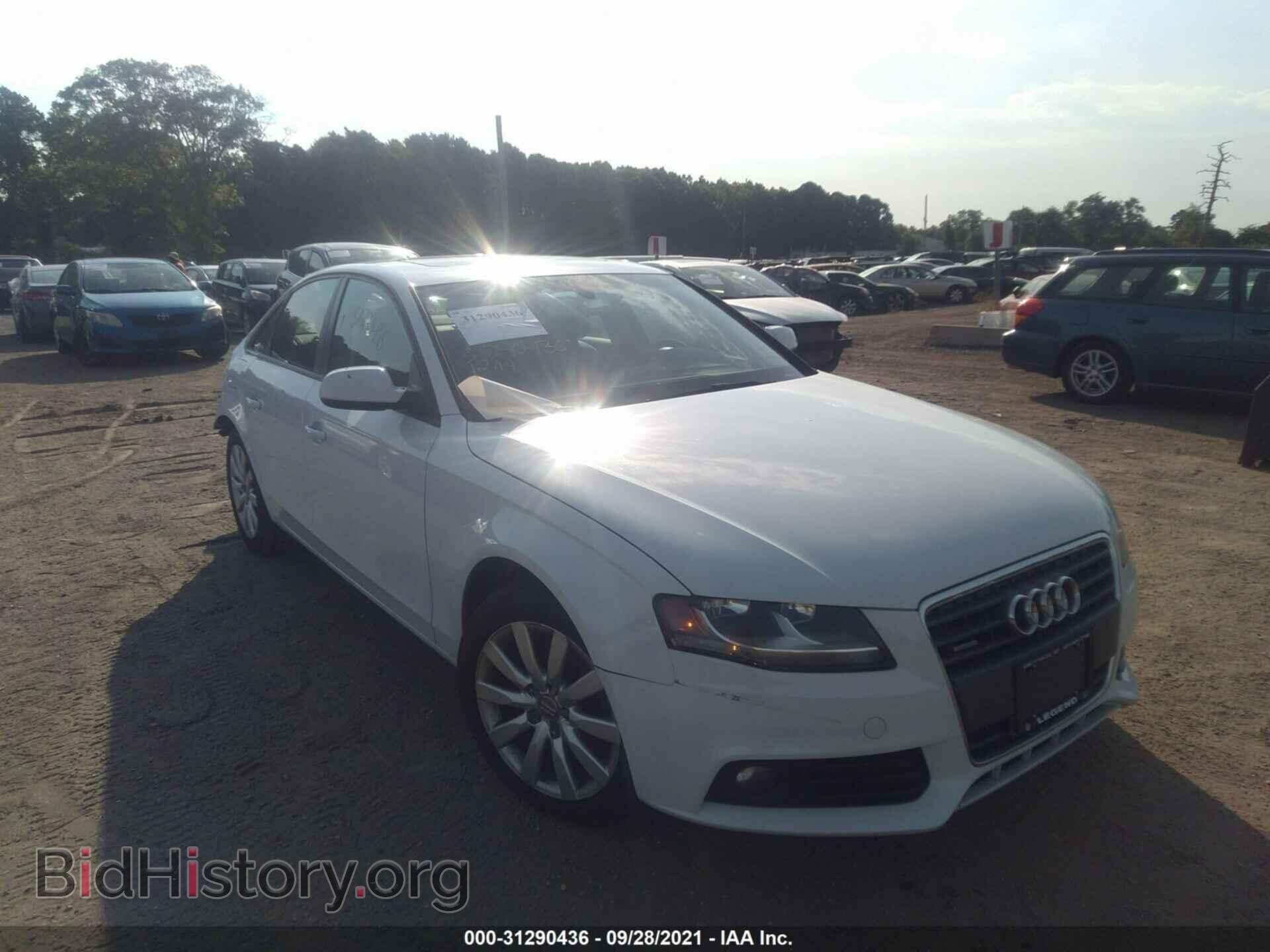 Фотография WAUBFAFL0CN014757 - AUDI A4 2012