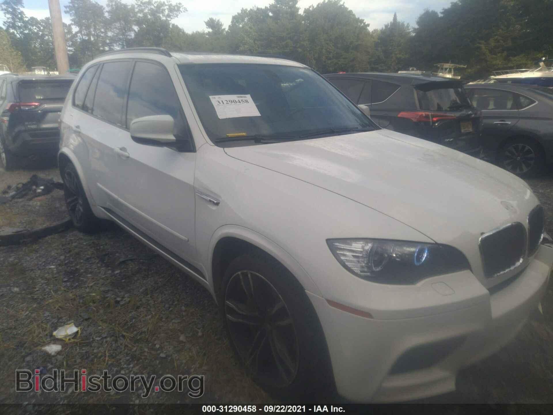 Photo 5YMGY0C50ALK25962 - BMW X5 M 2010