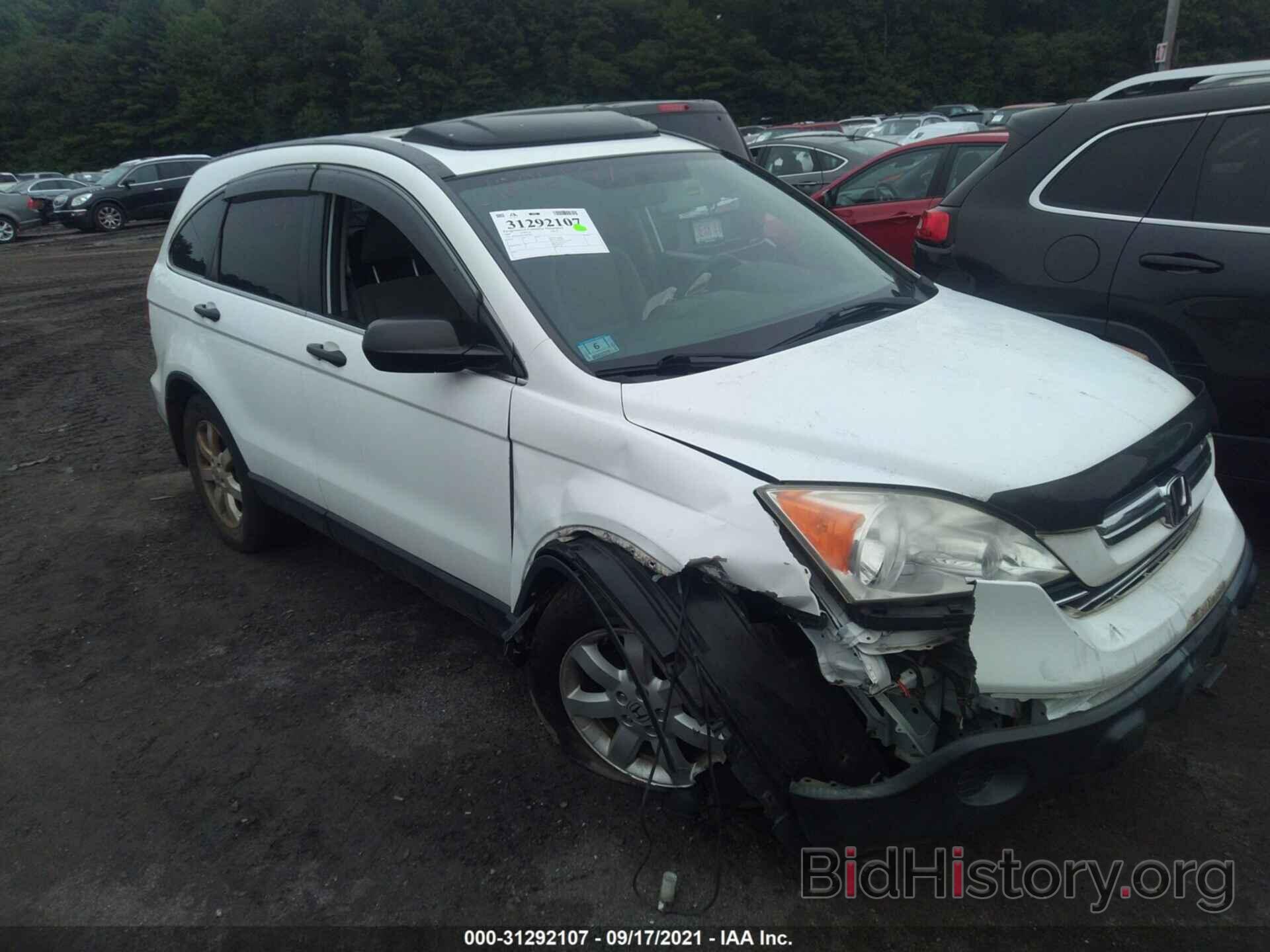 Photo JHLRE48527C091929 - HONDA CR-V 2007