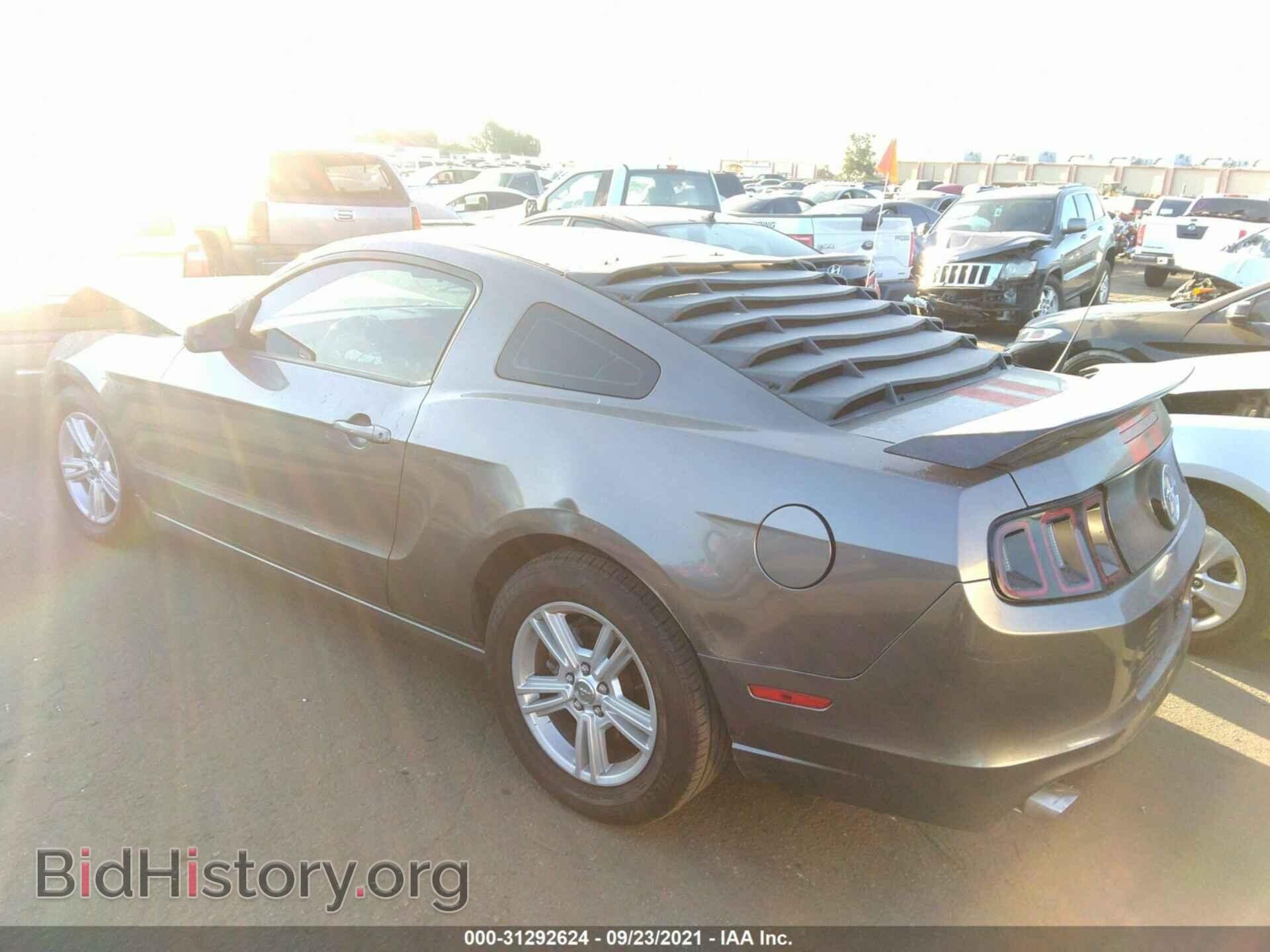 2014 FORD MUSTANG - VIN: 1ZVBP8AM4E5239840 - Фото 3