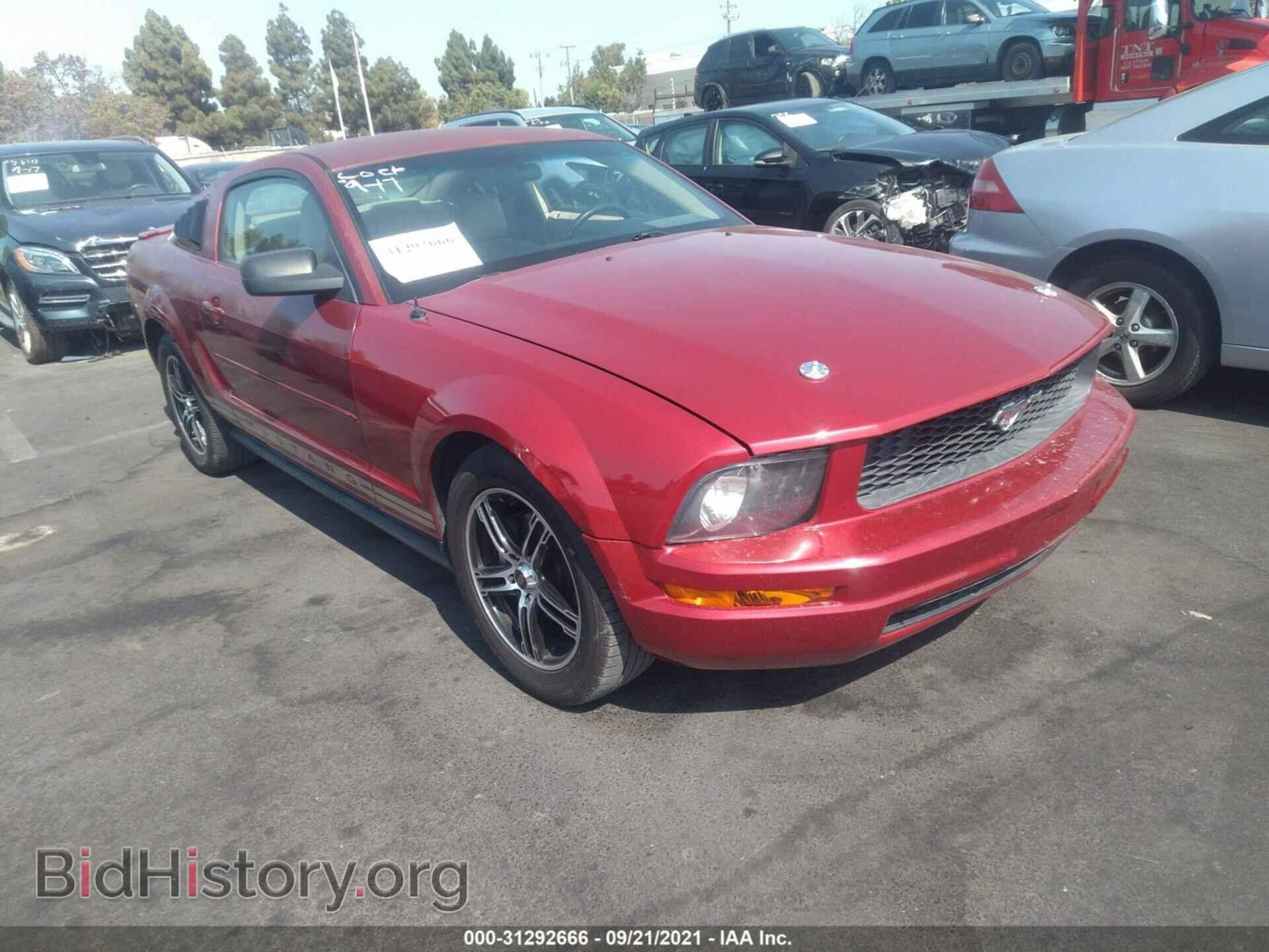 Фотография 1ZVFT80N175354485 - FORD MUSTANG 2007