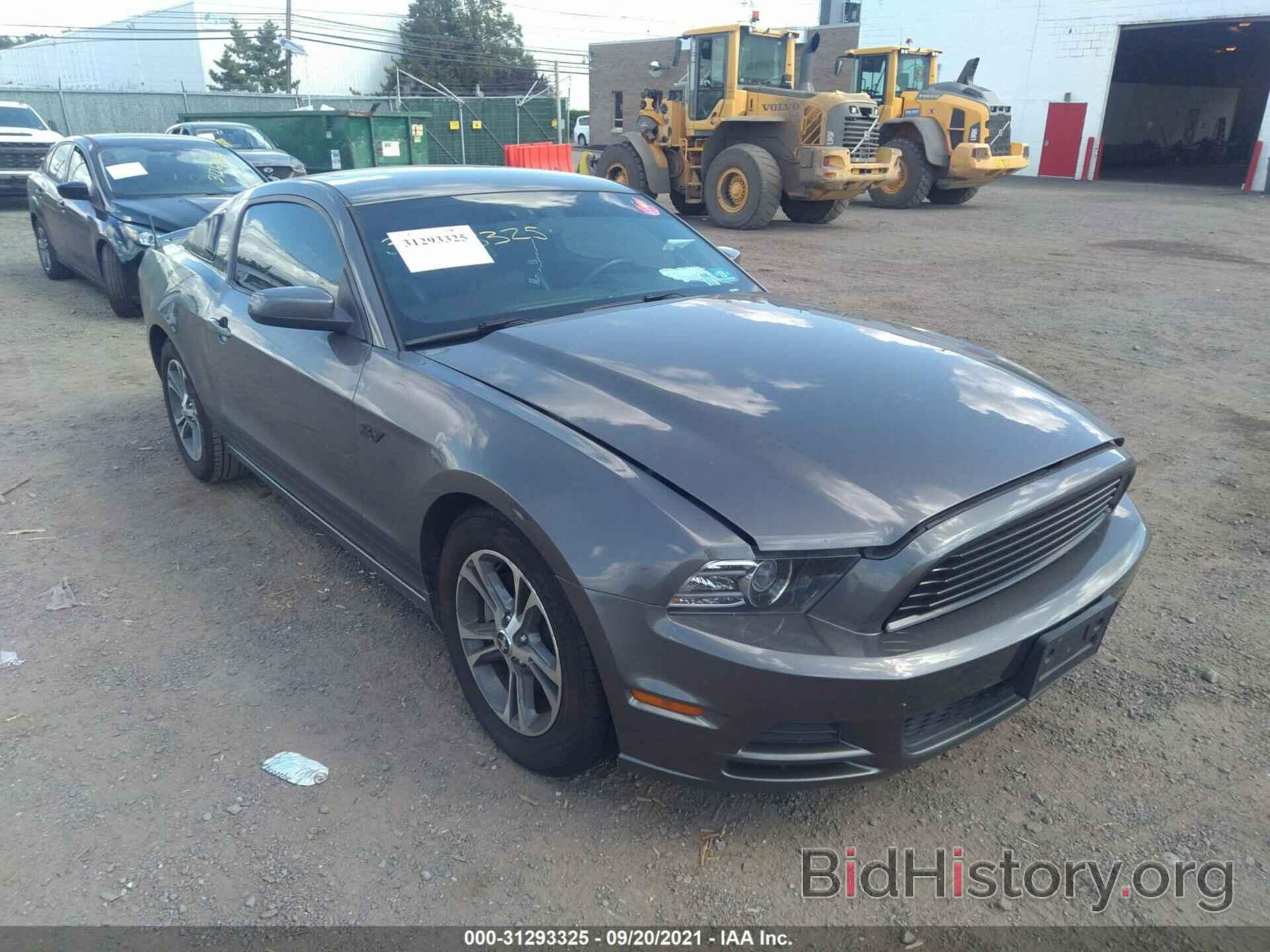 Photo 1ZVBP8AM7E5314093 - FORD MUSTANG 2014