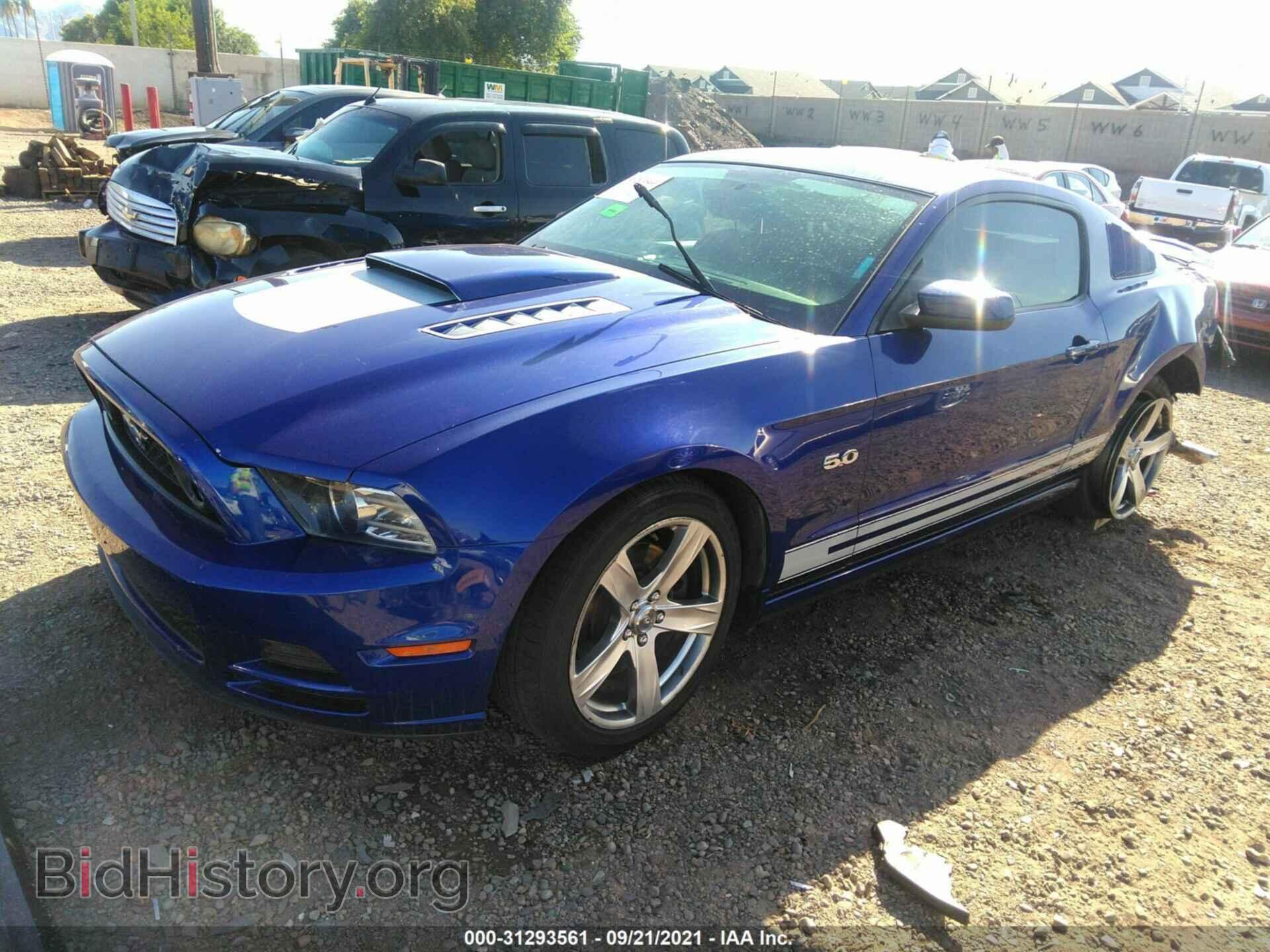 2013 FORD MUSTANG - VIN: 1ZVBP8CF8D5241331 - Фото 2