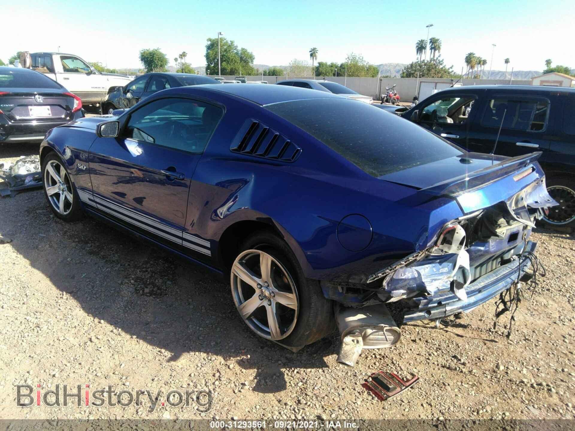 2013 FORD MUSTANG - VIN: 1ZVBP8CF8D5241331 - Фото 3