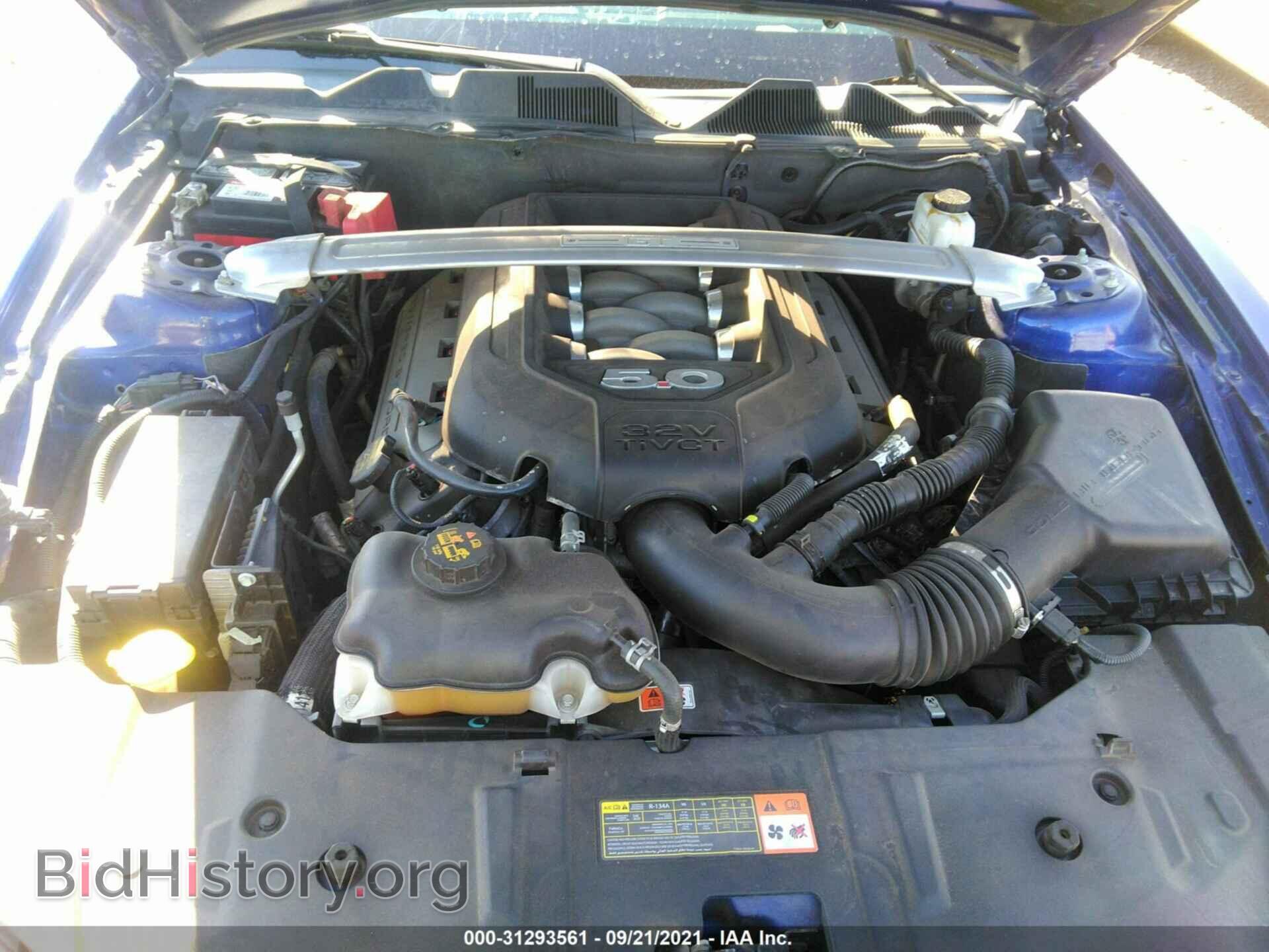 2013 FORD MUSTANG - VIN: 1ZVBP8CF8D5241331 - Фото 10