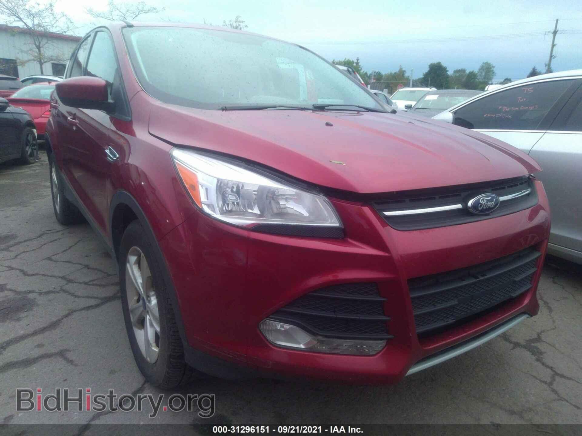 2014 FORD ESCAPE - VIN: 1FMCU0GX4EUA61304 - Фото 6