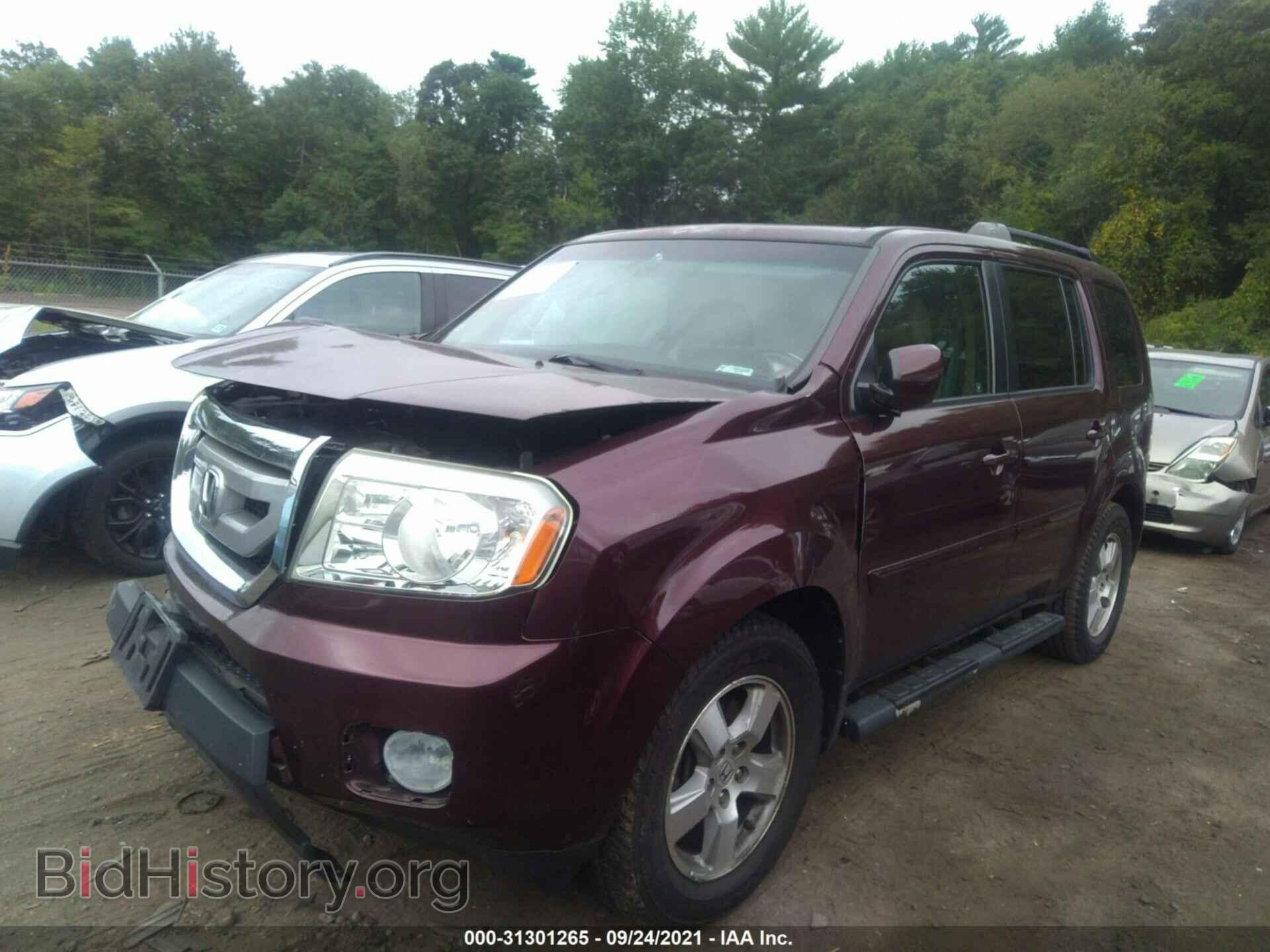 2011 HONDA PILOT - VIN: 5FNYF4H55BB084202 - Фото 2