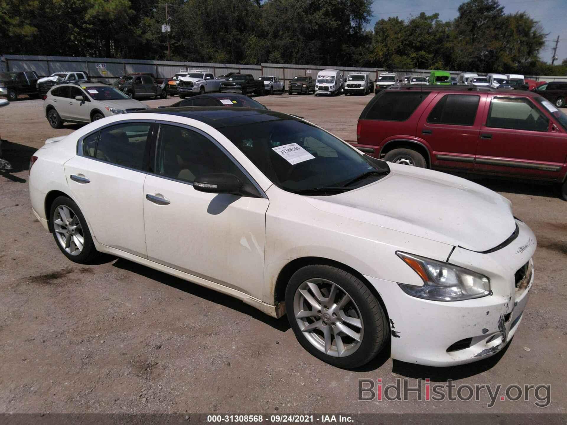 Photo 1N4AA5APXBC815436 - NISSAN MAXIMA 2011