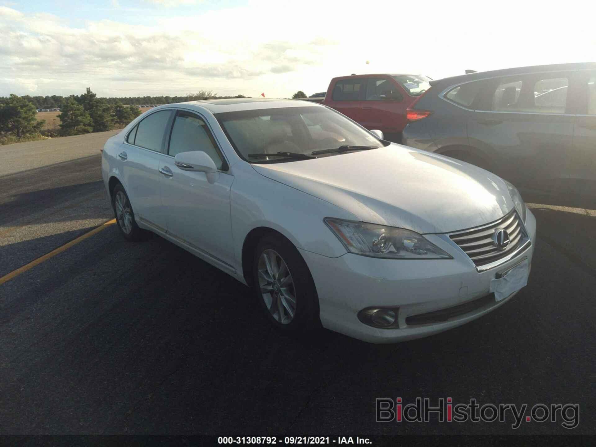 Фотография JTHBK1EG5A2405211 - LEXUS ES 350 2010