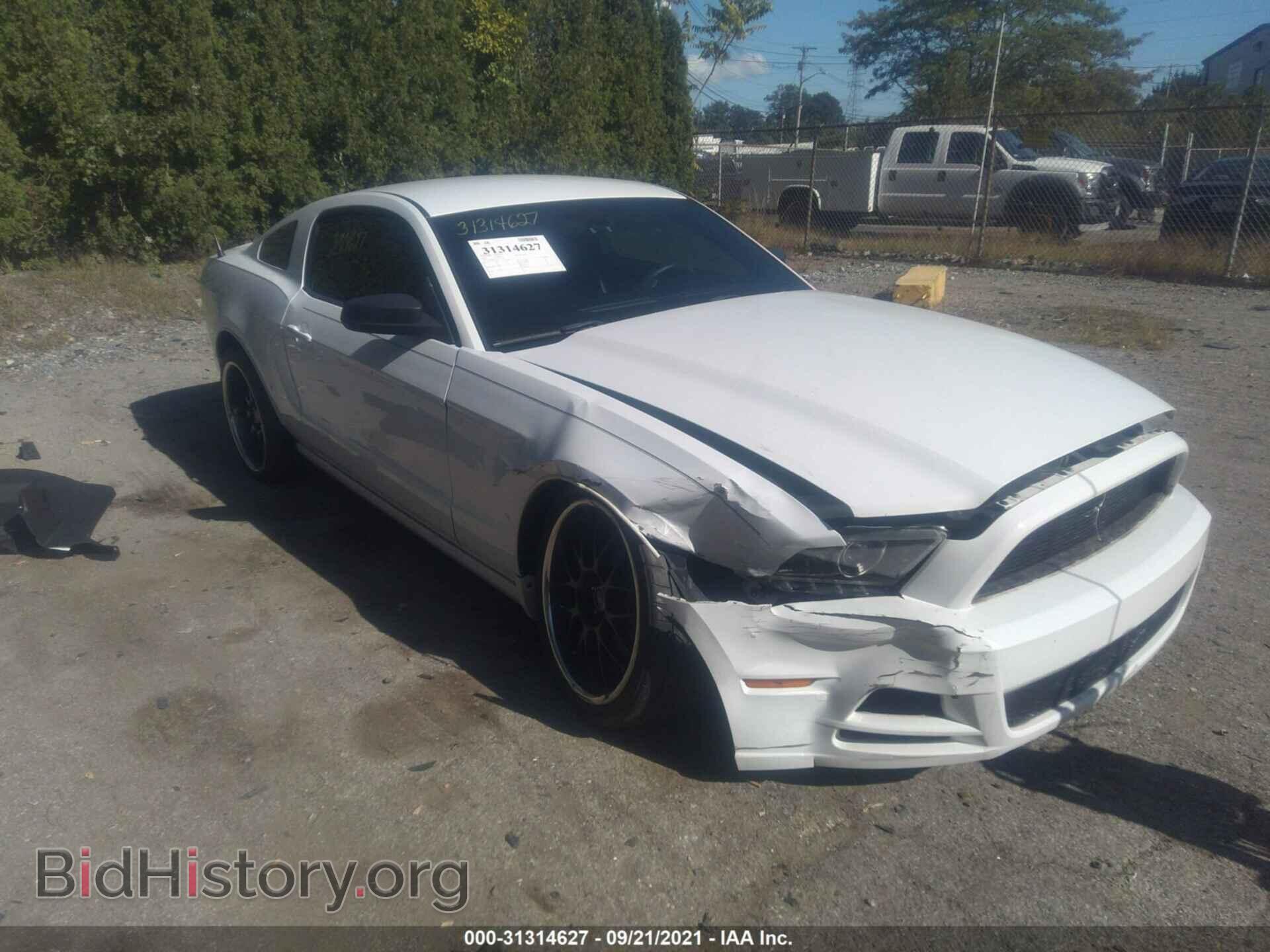 Фотография 1ZVBP8AM4E5319252 - FORD MUSTANG 2014