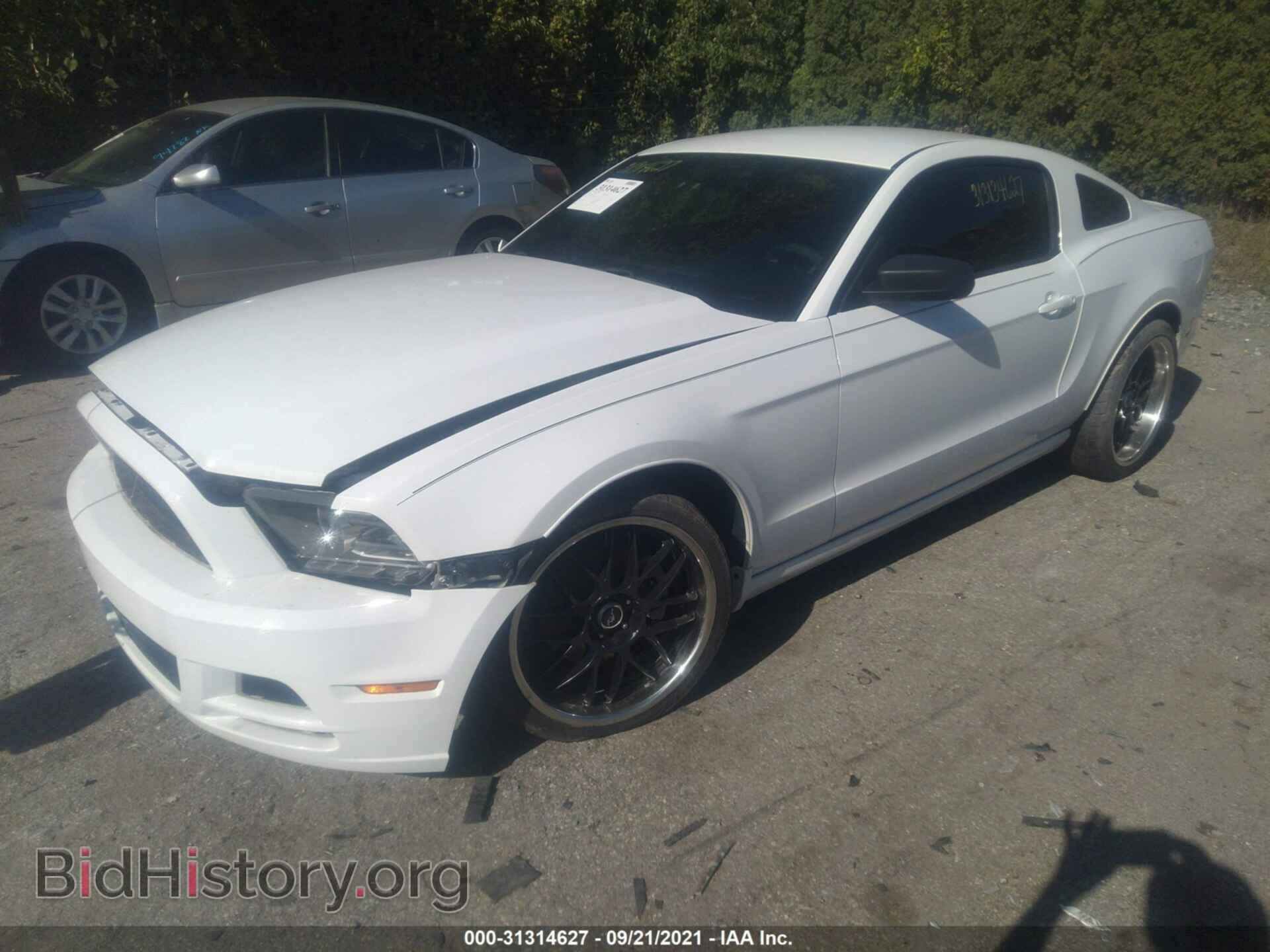 2014 FORD MUSTANG - VIN: 1ZVBP8AM4E5319252 - Фото 2