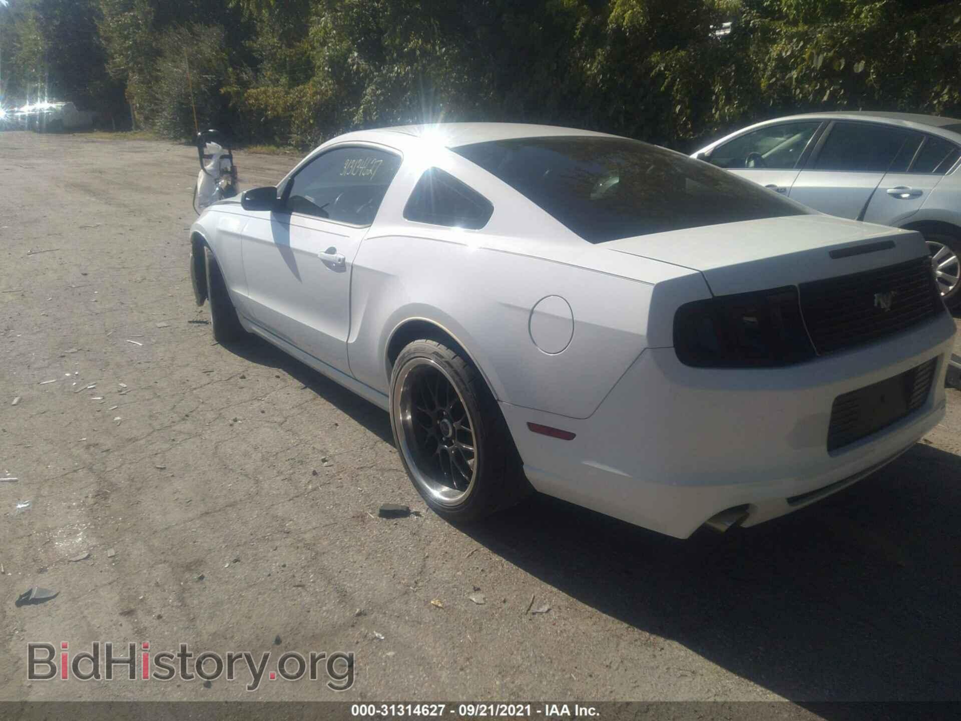 2014 FORD MUSTANG - VIN: 1ZVBP8AM4E5319252 - Фото 3