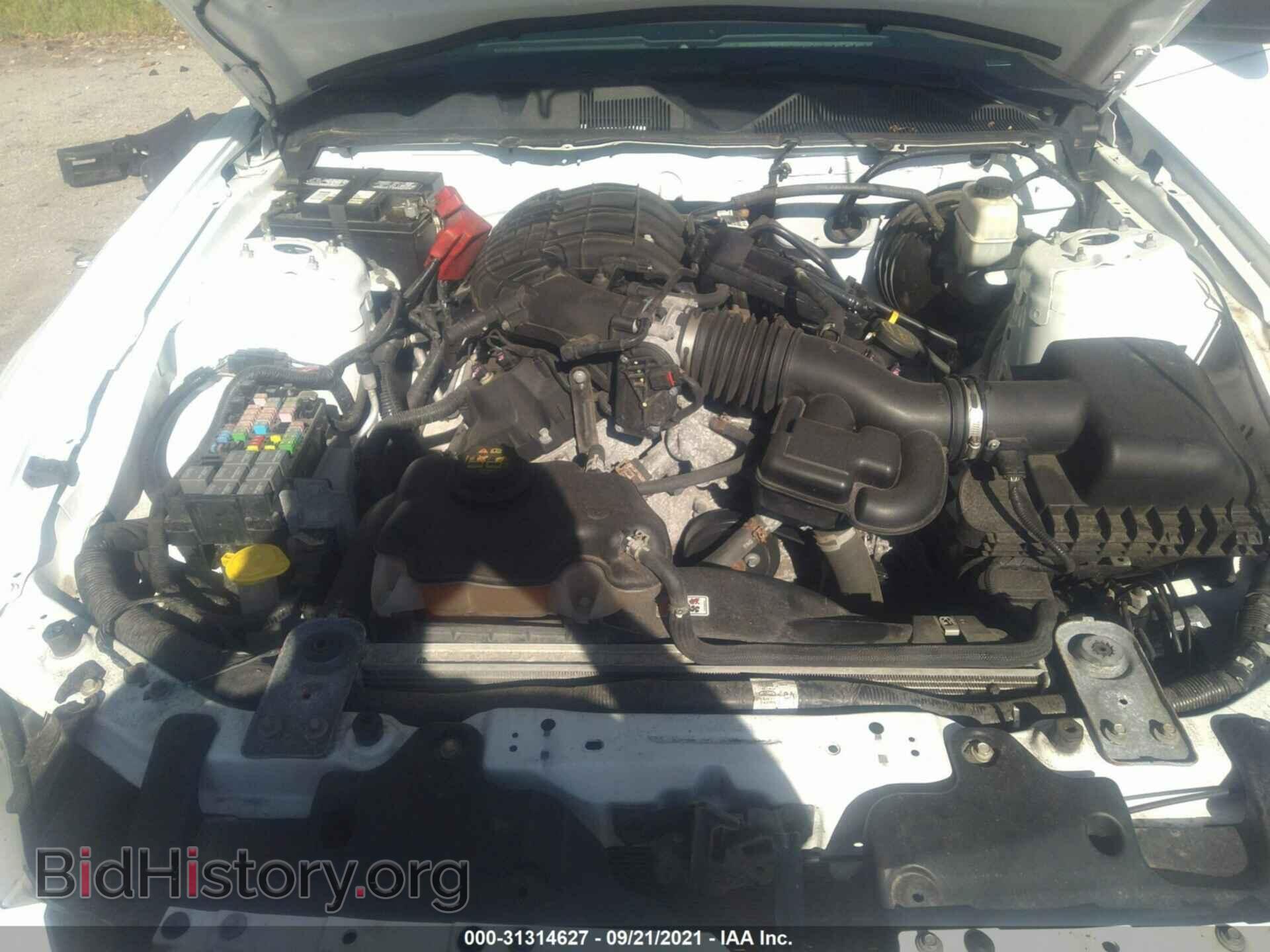 2014 FORD MUSTANG - VIN: 1ZVBP8AM4E5319252 - Фото 10