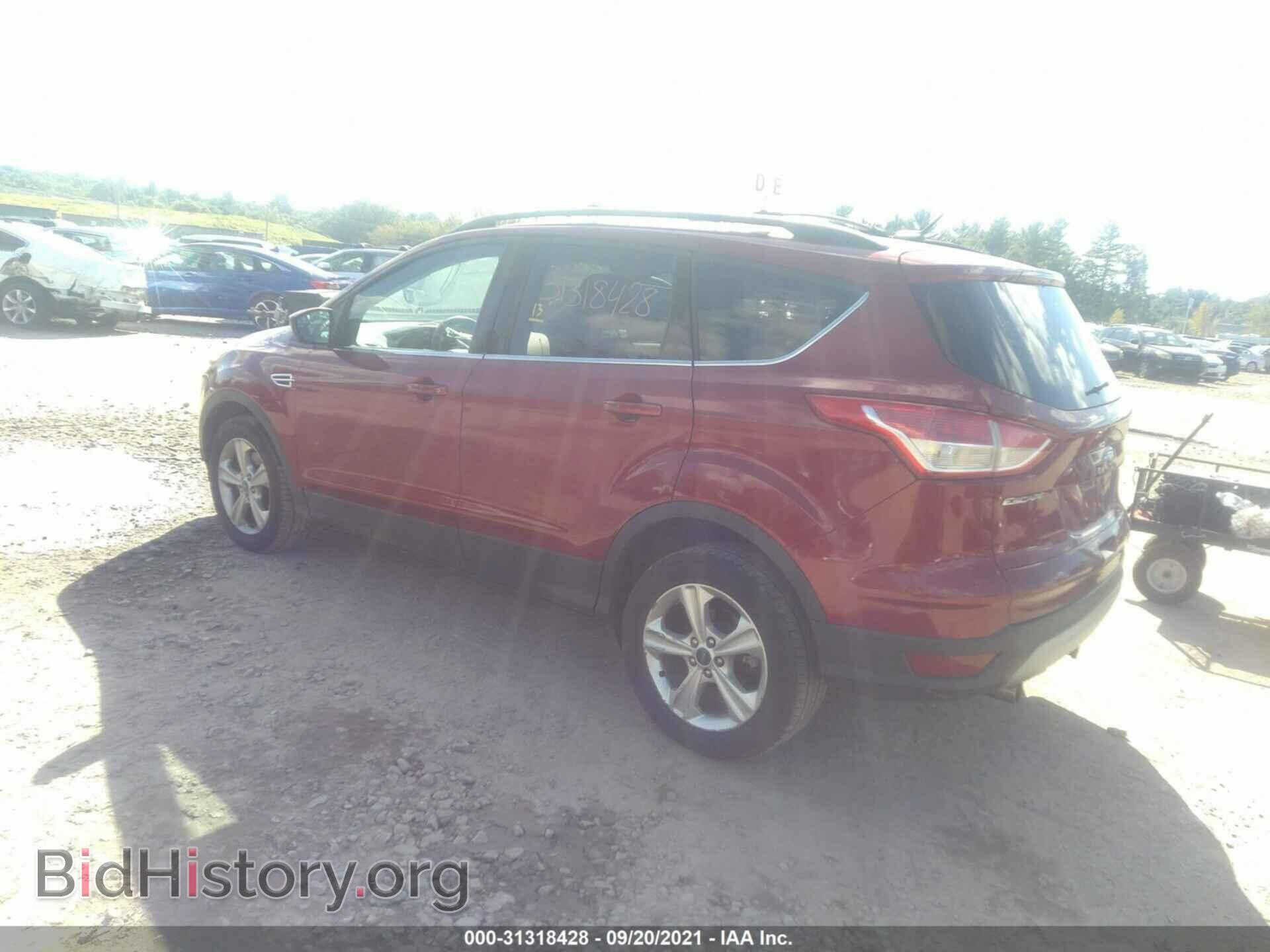 2013 FORD ESCAPE - VIN: 1FMCU9G96DUA57016 - Фото 3