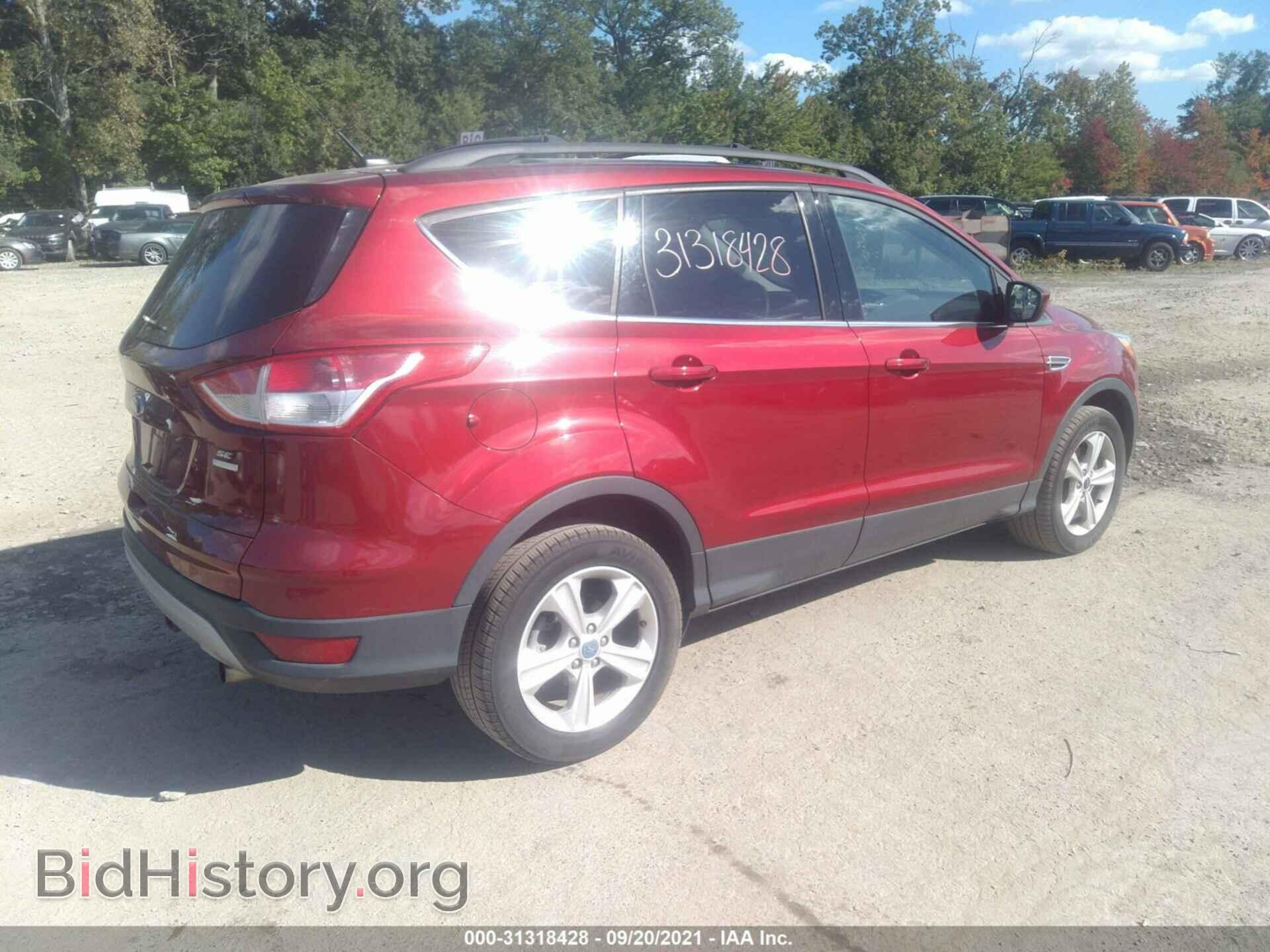 2013 FORD ESCAPE - VIN: 1FMCU9G96DUA57016 - Фото 4