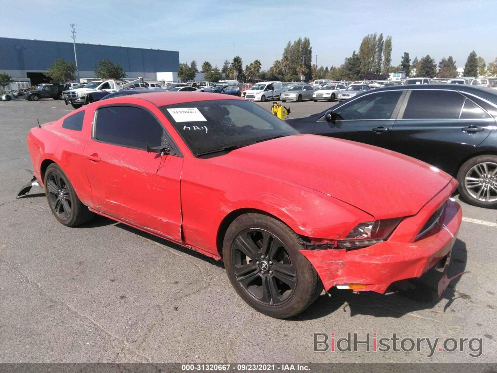 Photo 1ZVBP8AM4E5306548 - FORD MUSTANG 2014