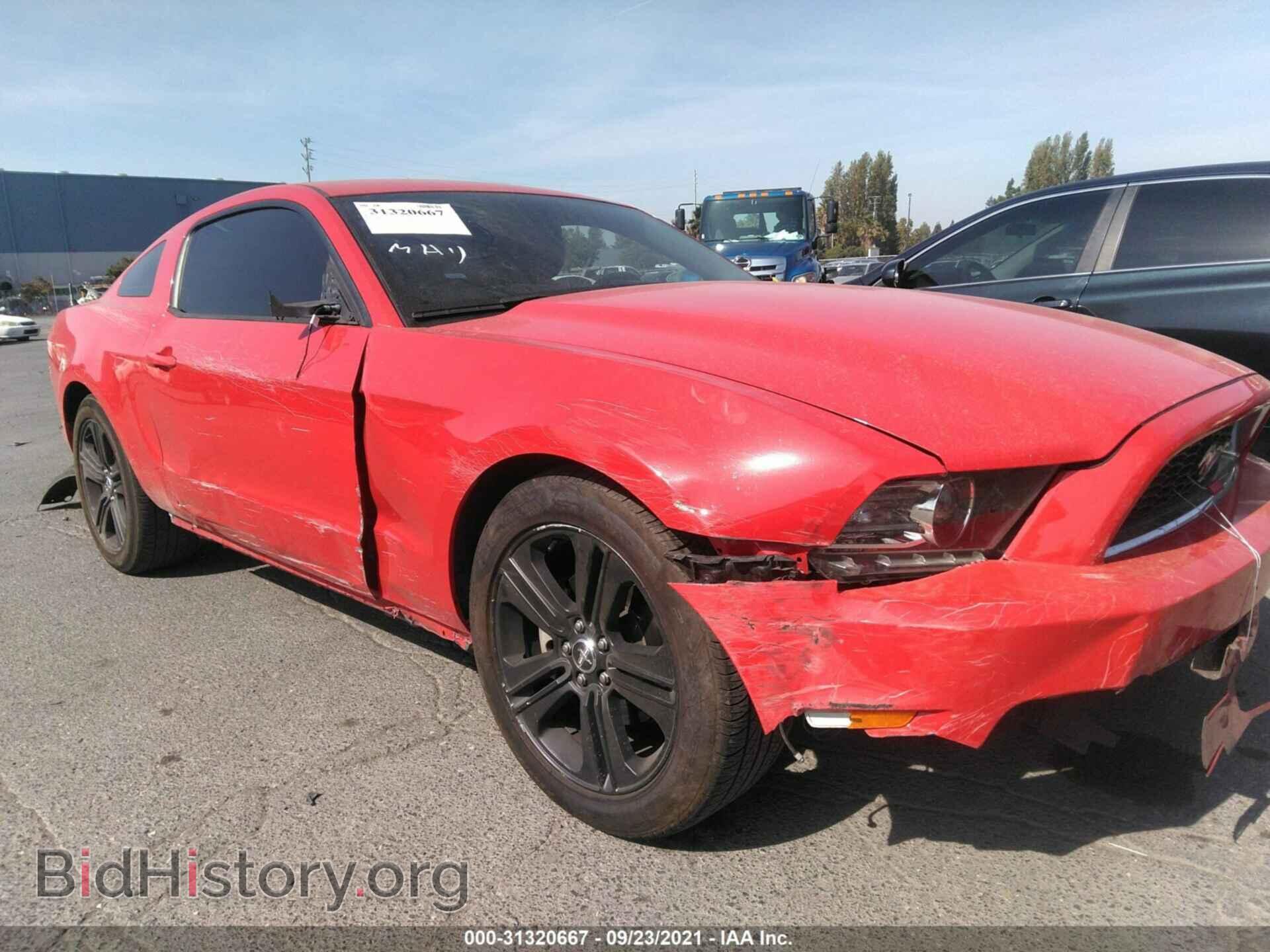 2014 FORD MUSTANG - VIN: 1ZVBP8AM4E5306548 - Фото 6