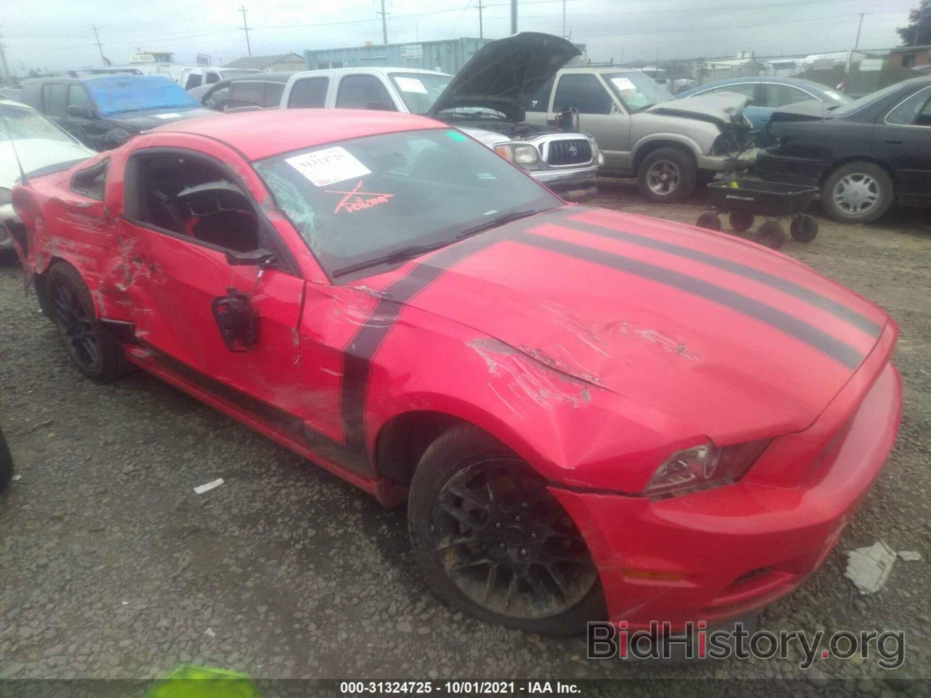 Photo 1ZVBP8AM5E5305036 - FORD MUSTANG 2014