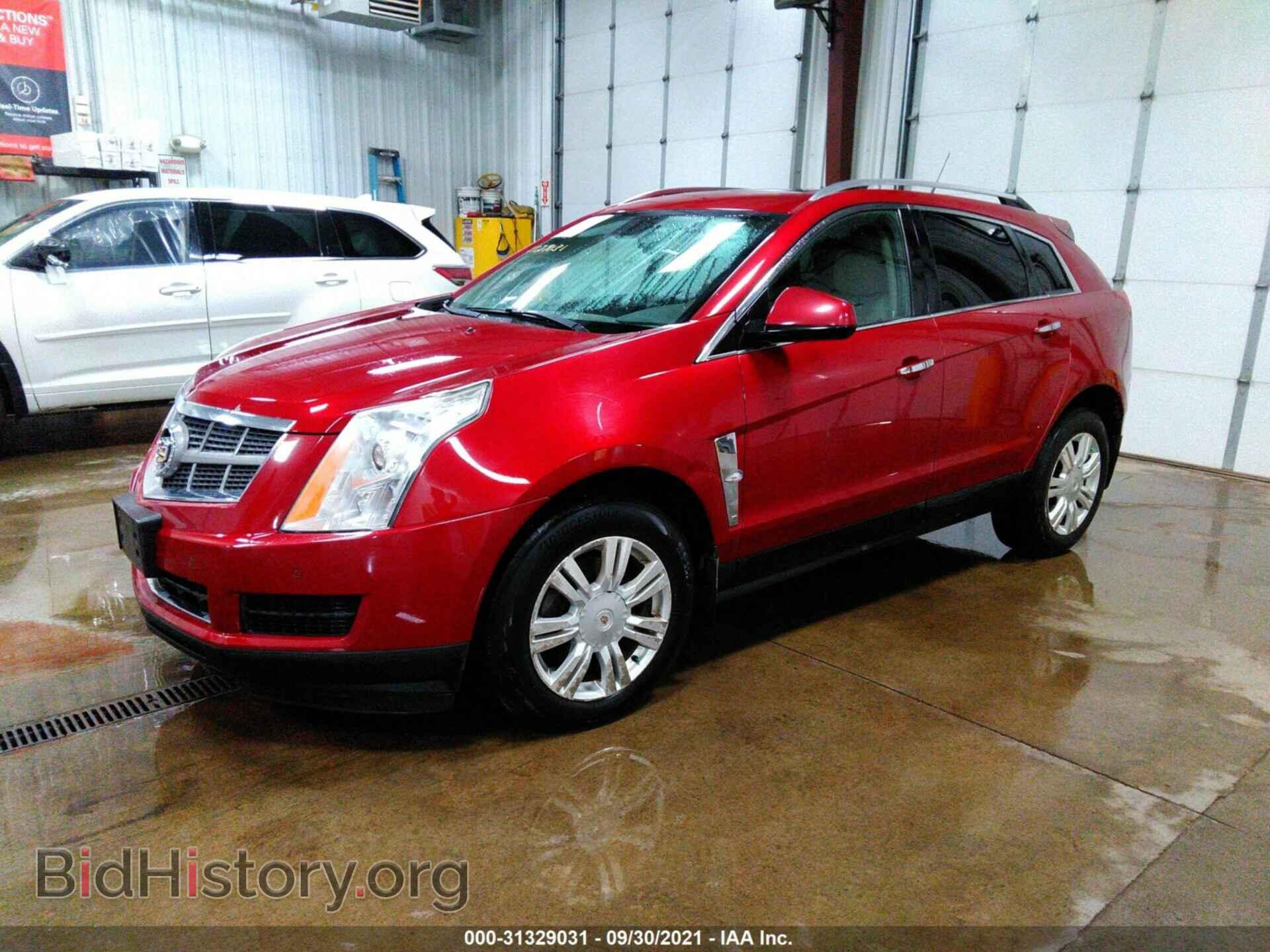 2010 CADILLAC SRX - VIN: 3GYFNDEY2AS579305 - Фото 2