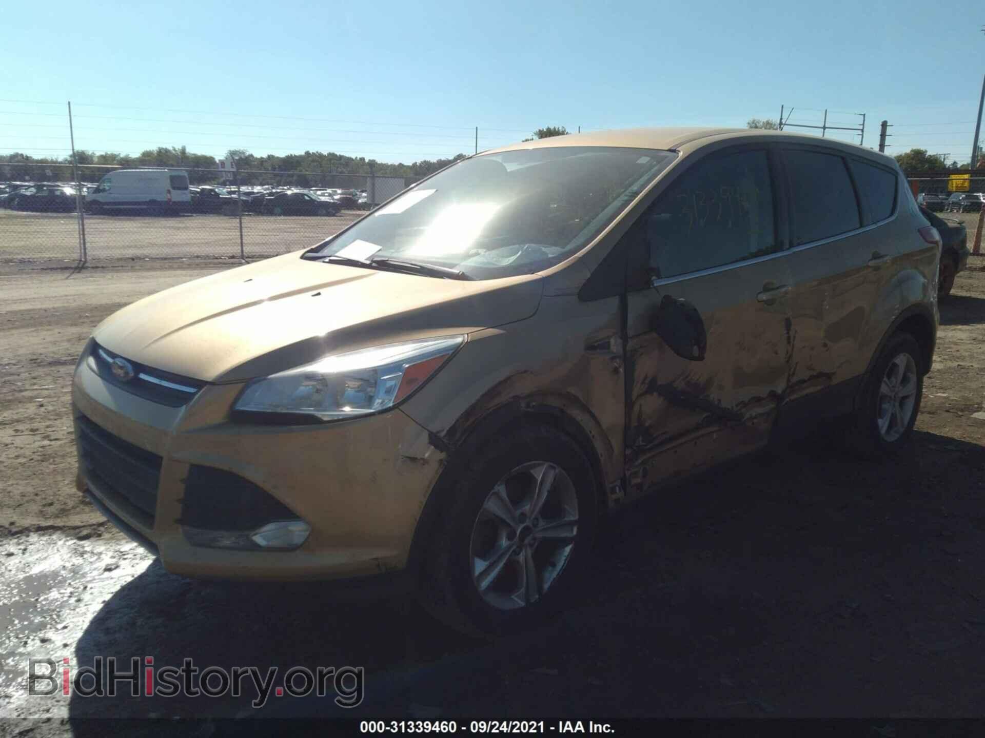 2014 FORD ESCAPE - VIN: 1FMCU0GX0EUC58034 - Фото 2