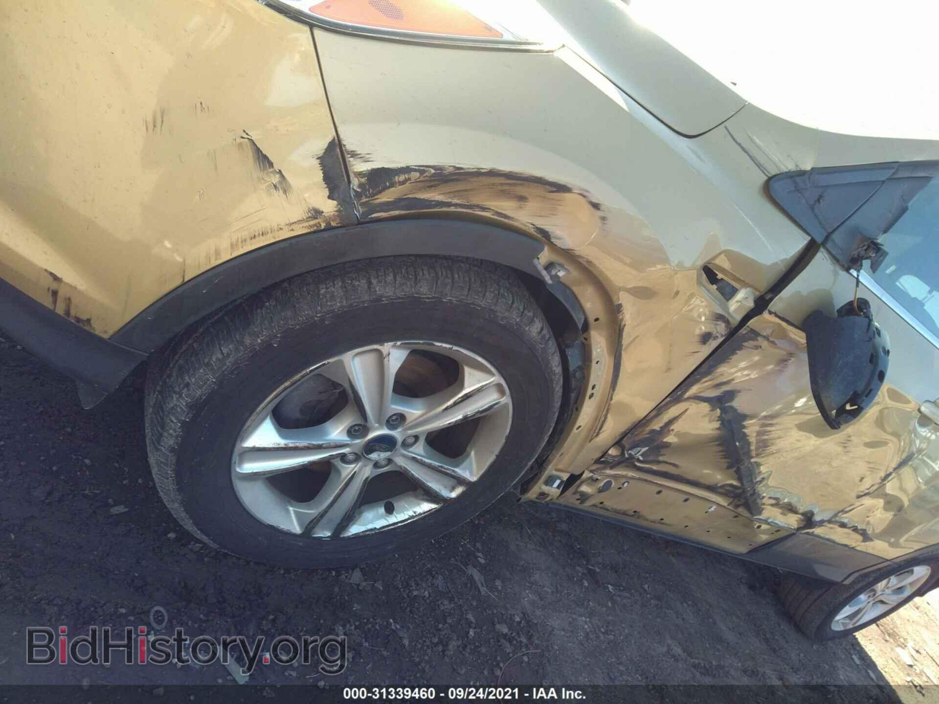 2014 FORD ESCAPE - VIN: 1FMCU0GX0EUC58034 - Фото 6