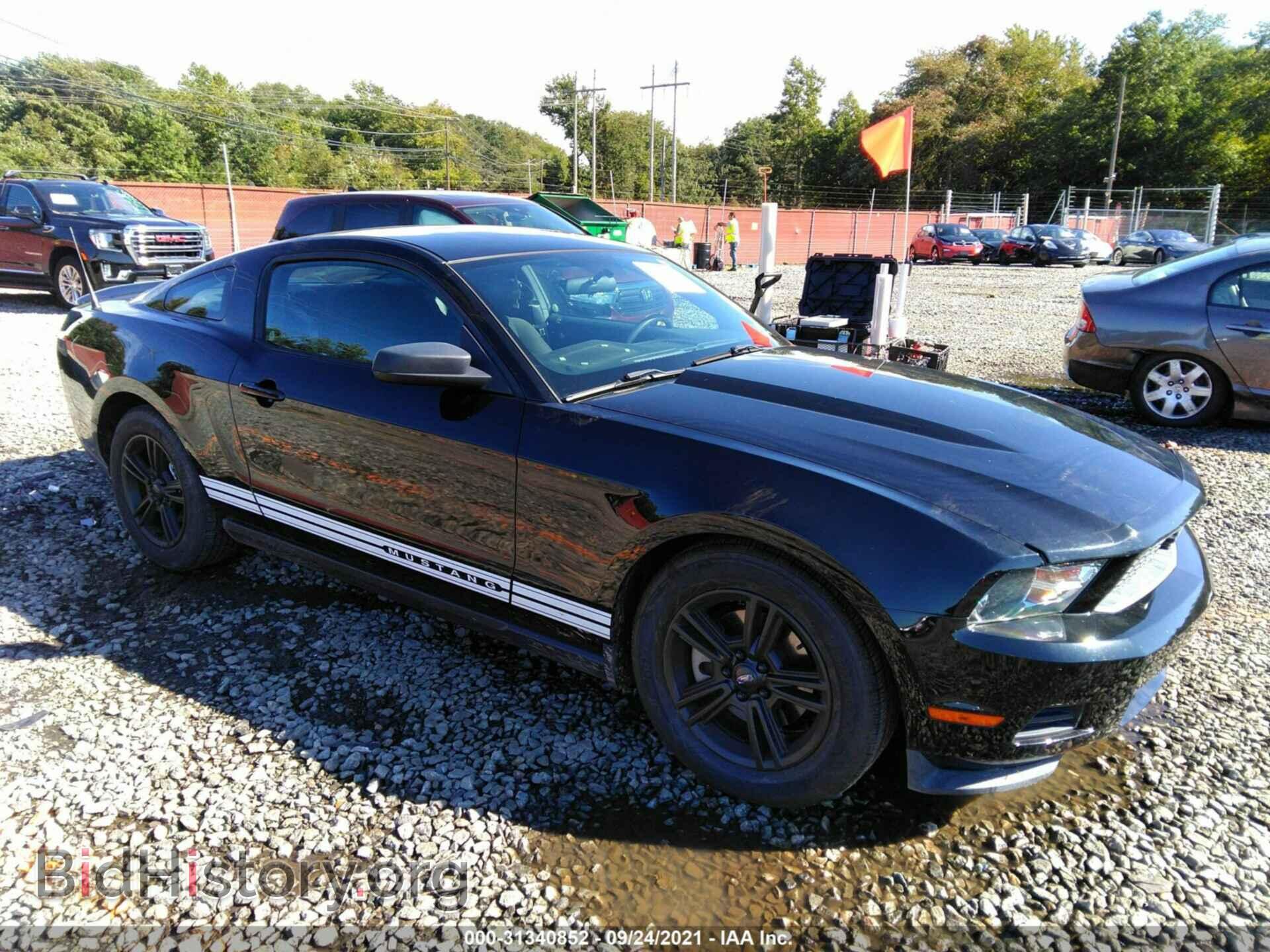 Photo 1ZVBP8AM7C5246083 - FORD MUSTANG 2012