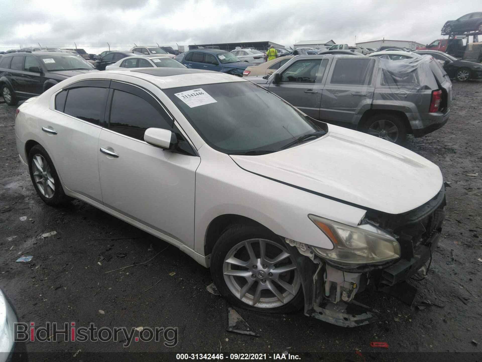 Фотография 1N4AA5AP8BC859791 - NISSAN MAXIMA 2011