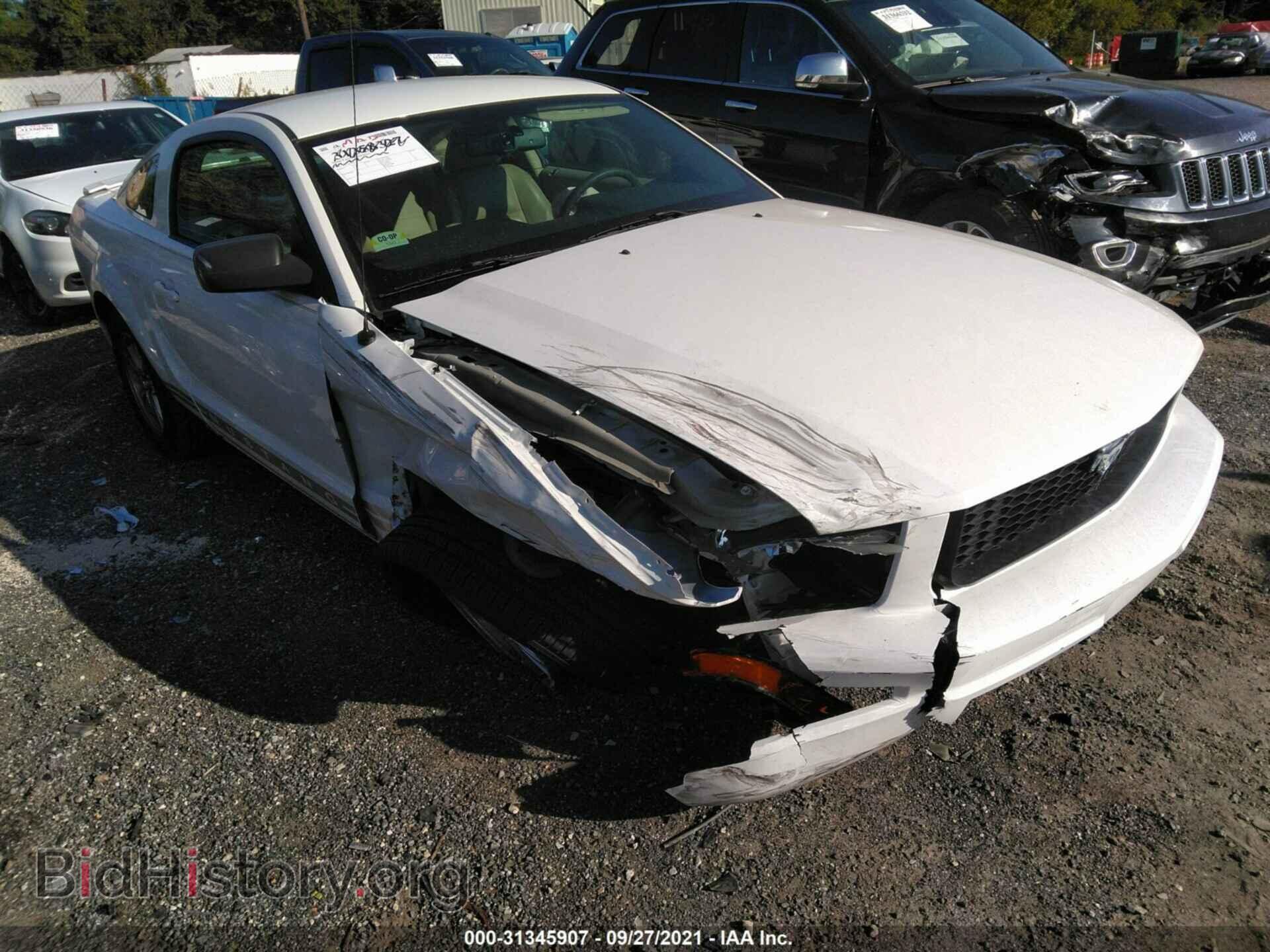 Photo 1ZVHT80N875304403 - FORD MUSTANG 2007