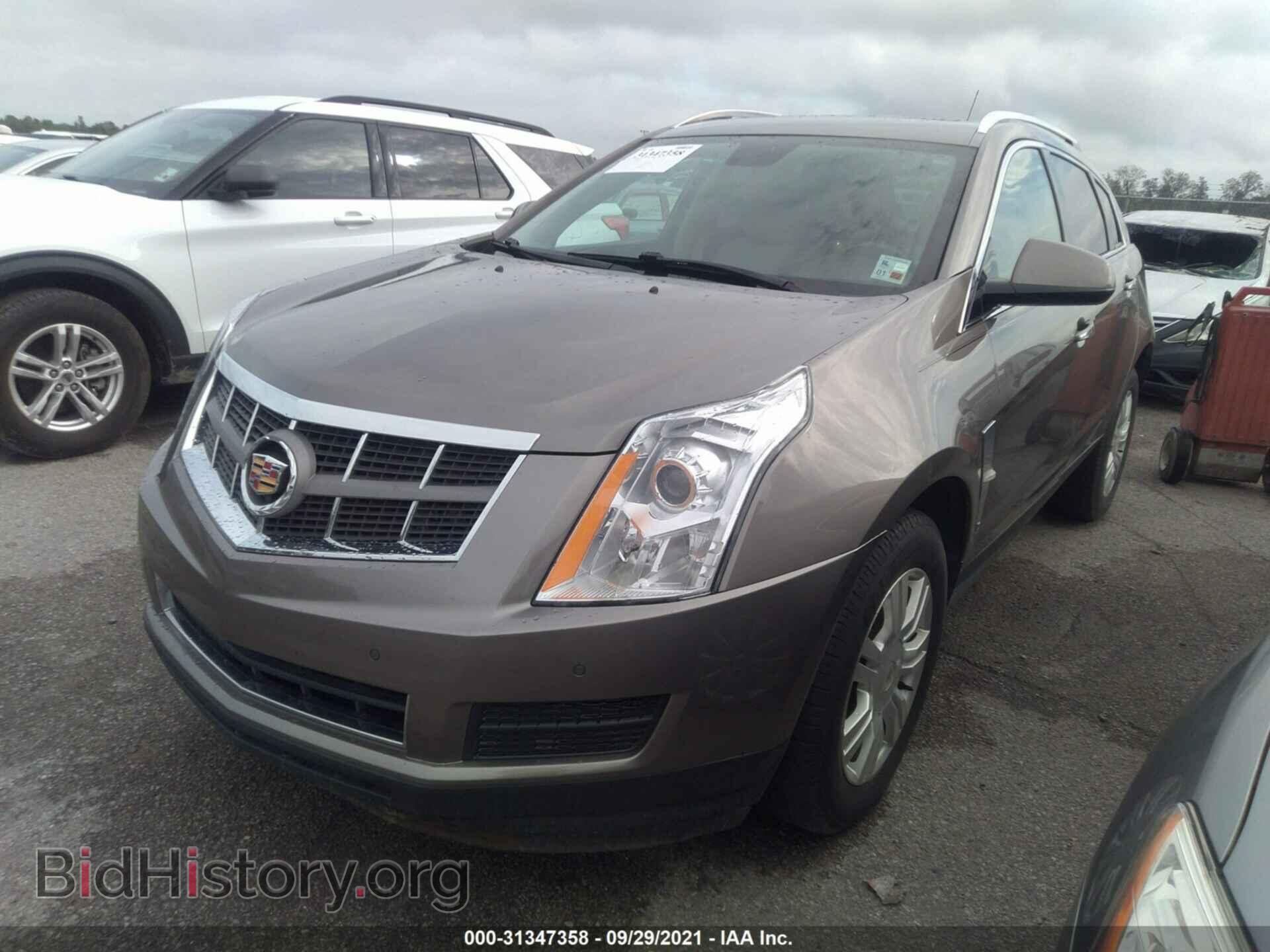 2011 CADILLAC SRX - VIN: 3GYFNAEY4BS558102 - Фото 2