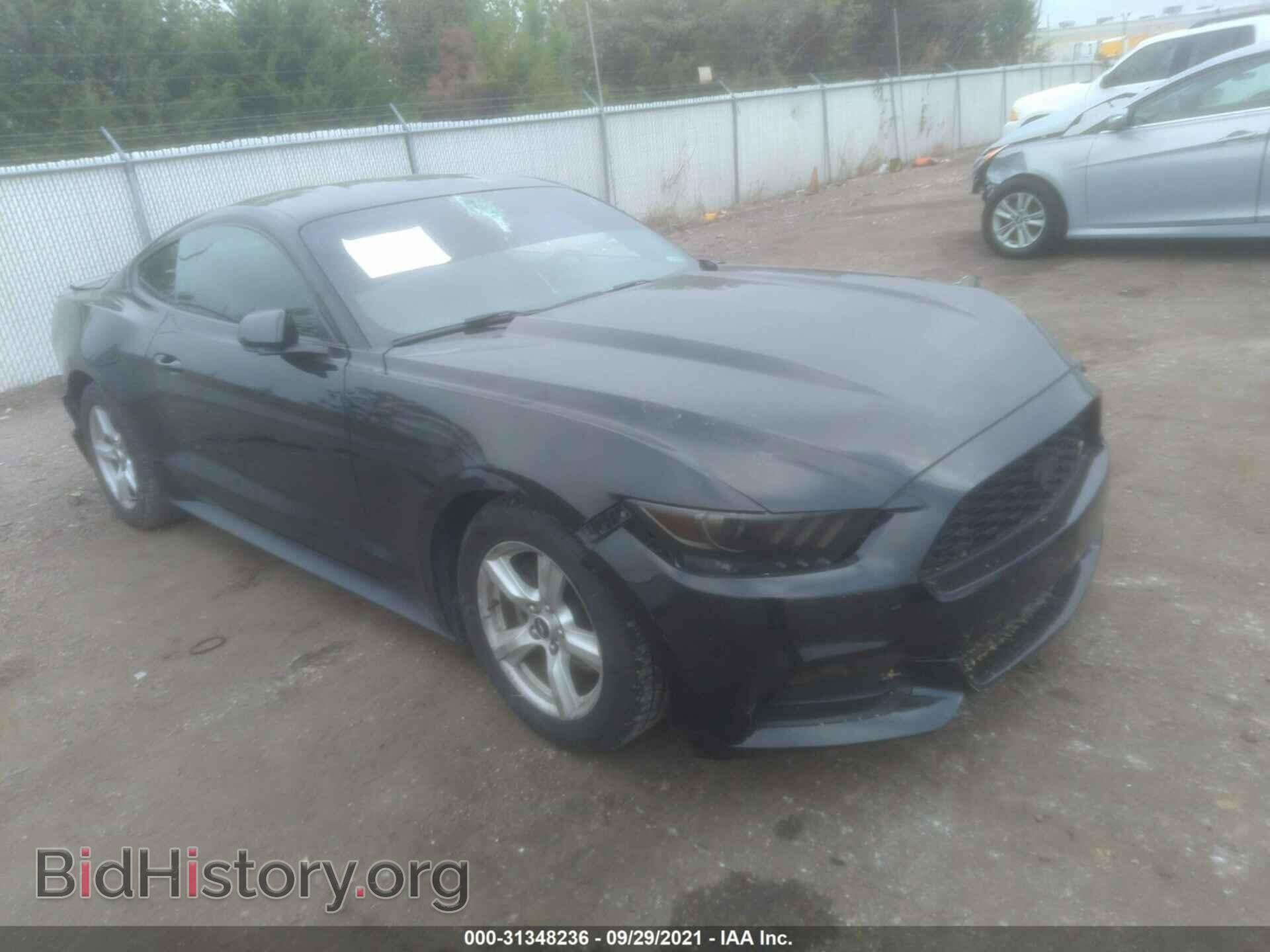 Фотография 1FA6P8AM8H5259474 - FORD MUSTANG 2017