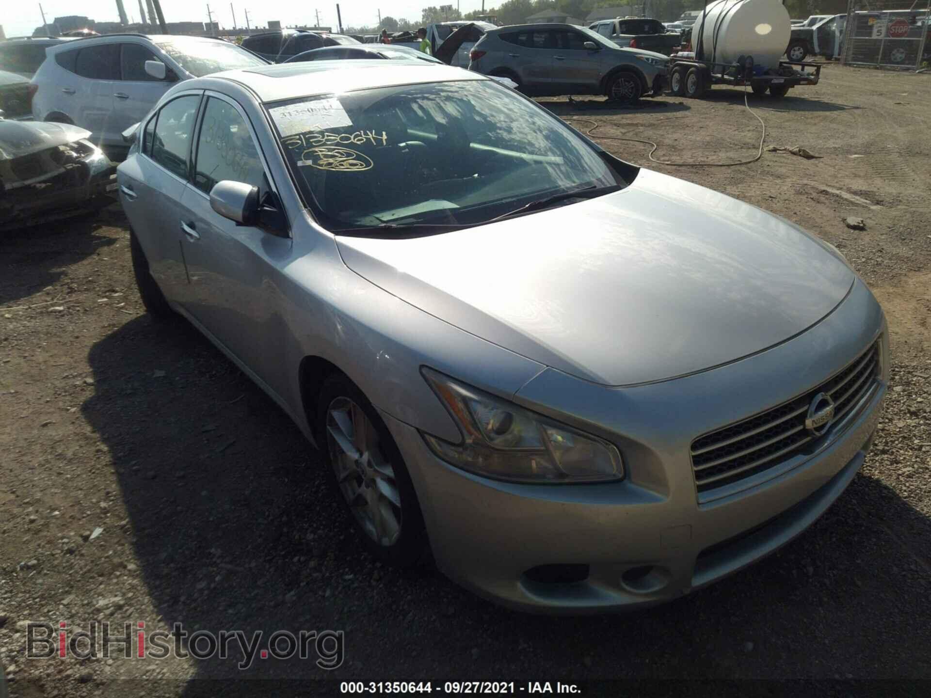 Фотография 1N4AA5AP7BC831187 - NISSAN MAXIMA 2011