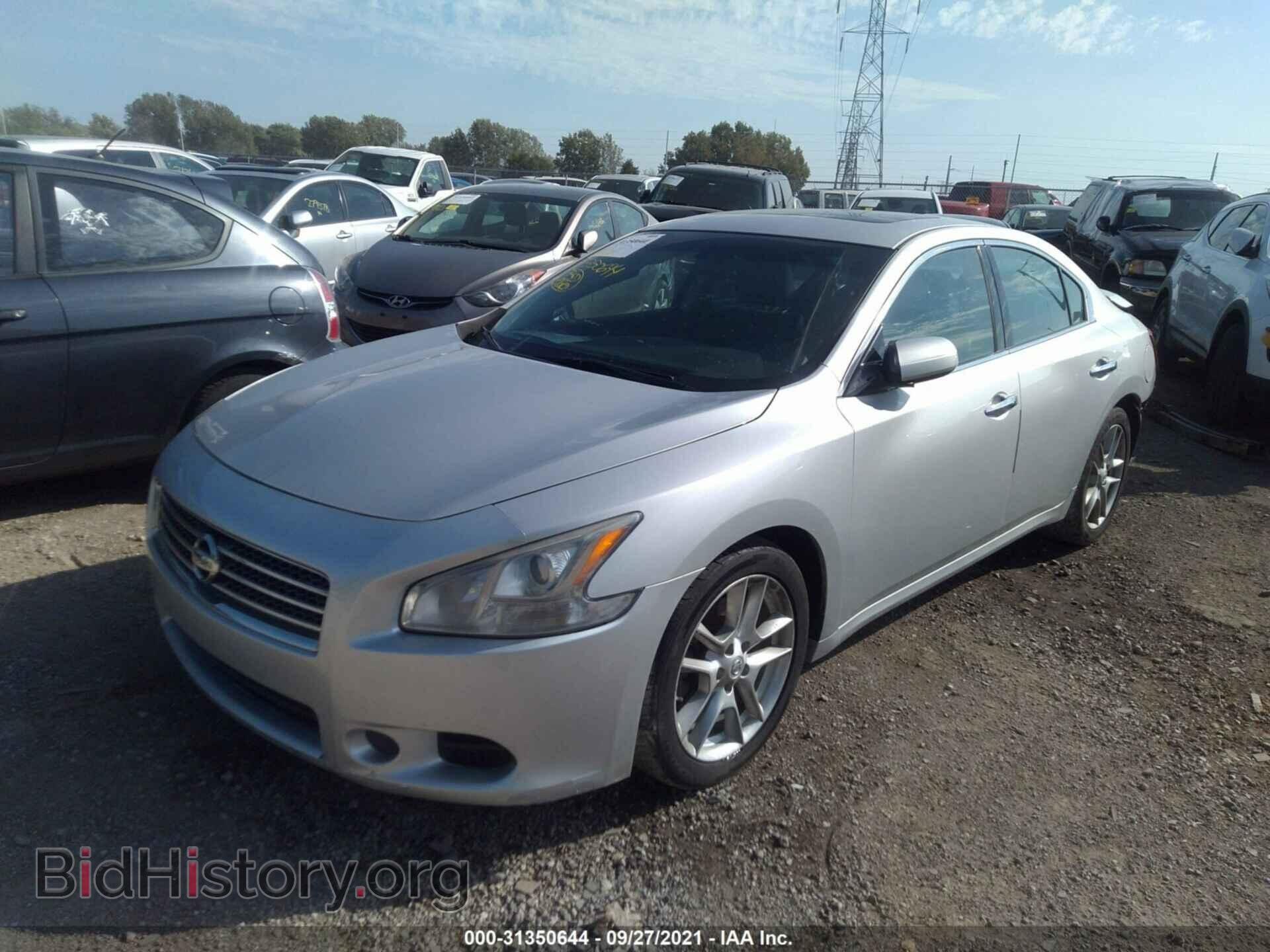 2011 NISSAN MAXIMA - VIN: 1N4AA5AP7BC831187 - Фото 2