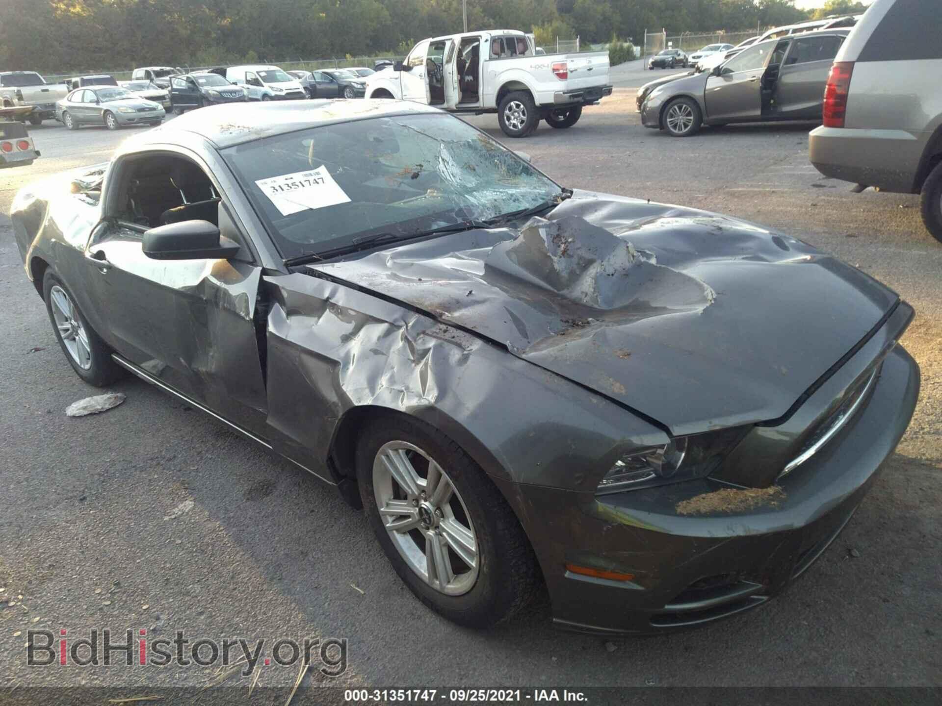 Фотография 1ZVBP8AM4E5295941 - FORD MUSTANG 2014