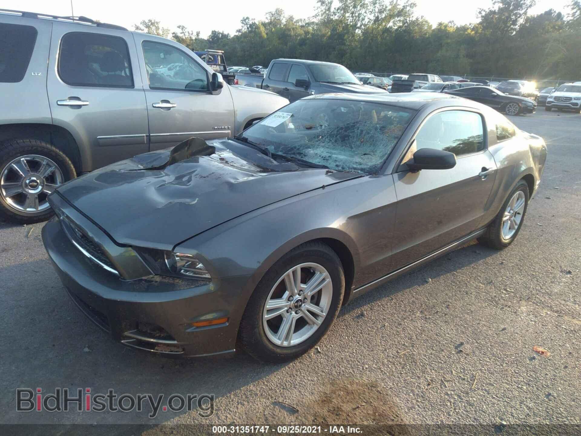 2014 FORD MUSTANG - VIN: 1ZVBP8AM4E5295941 - Фото 2