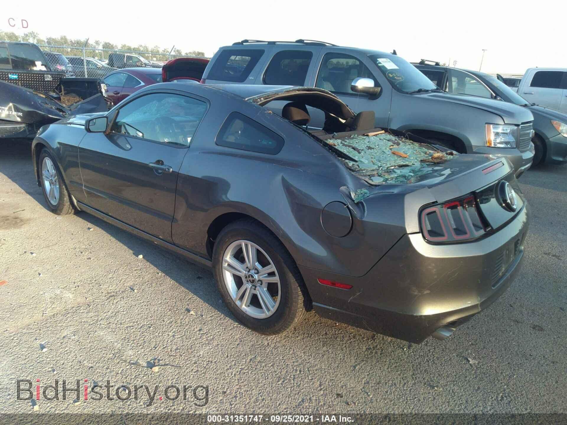 2014 FORD MUSTANG - VIN: 1ZVBP8AM4E5295941 - Фото 3