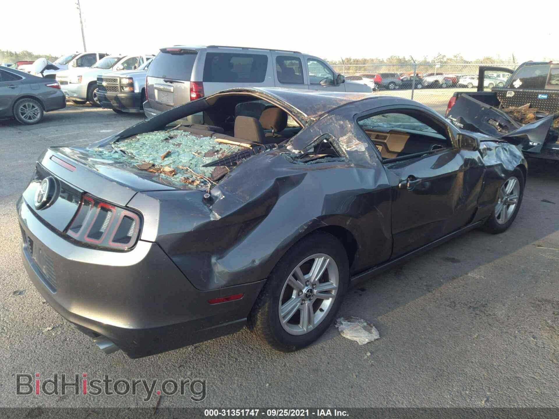 2014 FORD MUSTANG - VIN: 1ZVBP8AM4E5295941 - Фото 4