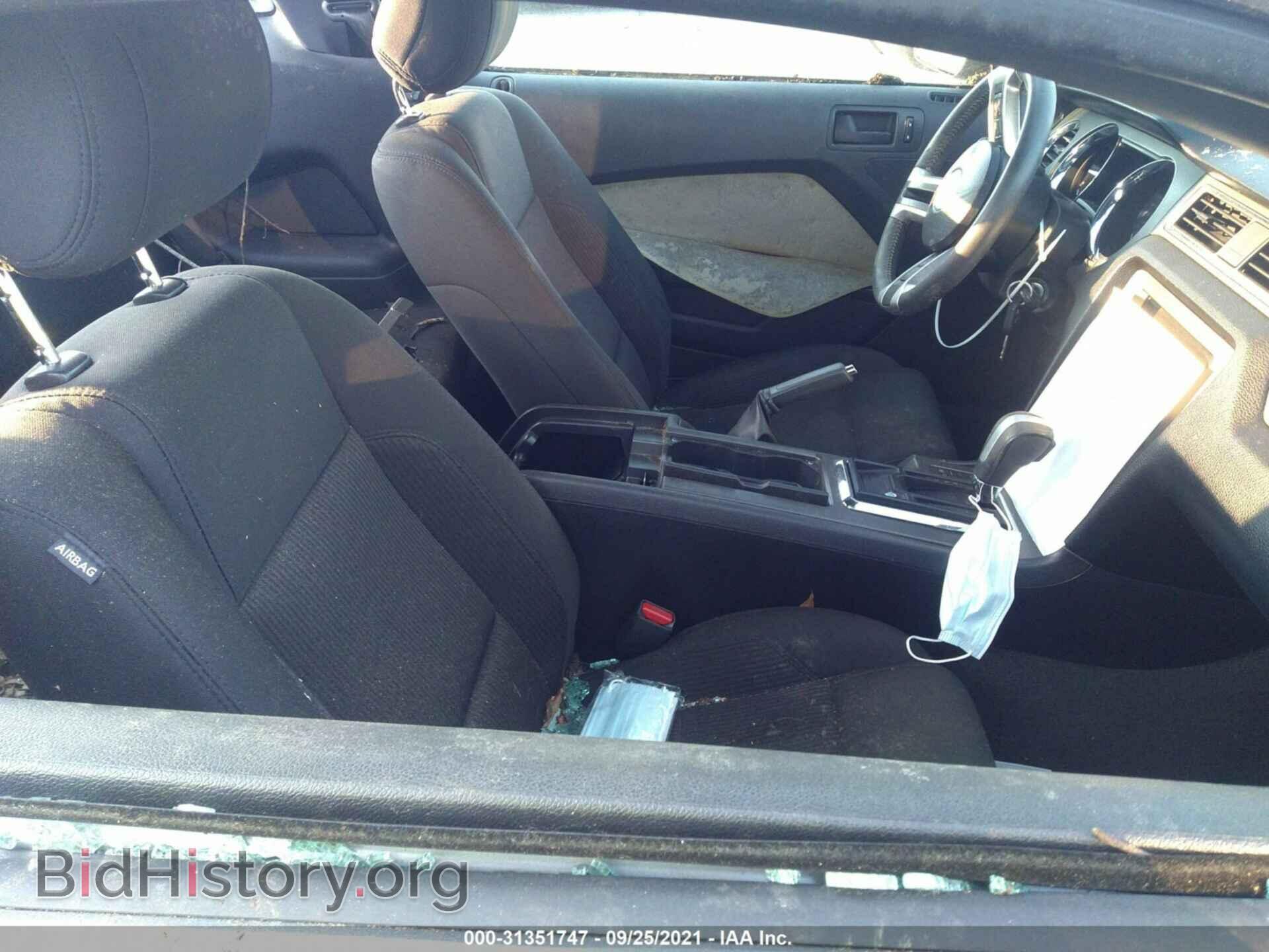 2014 FORD MUSTANG - VIN: 1ZVBP8AM4E5295941 - Фото 5