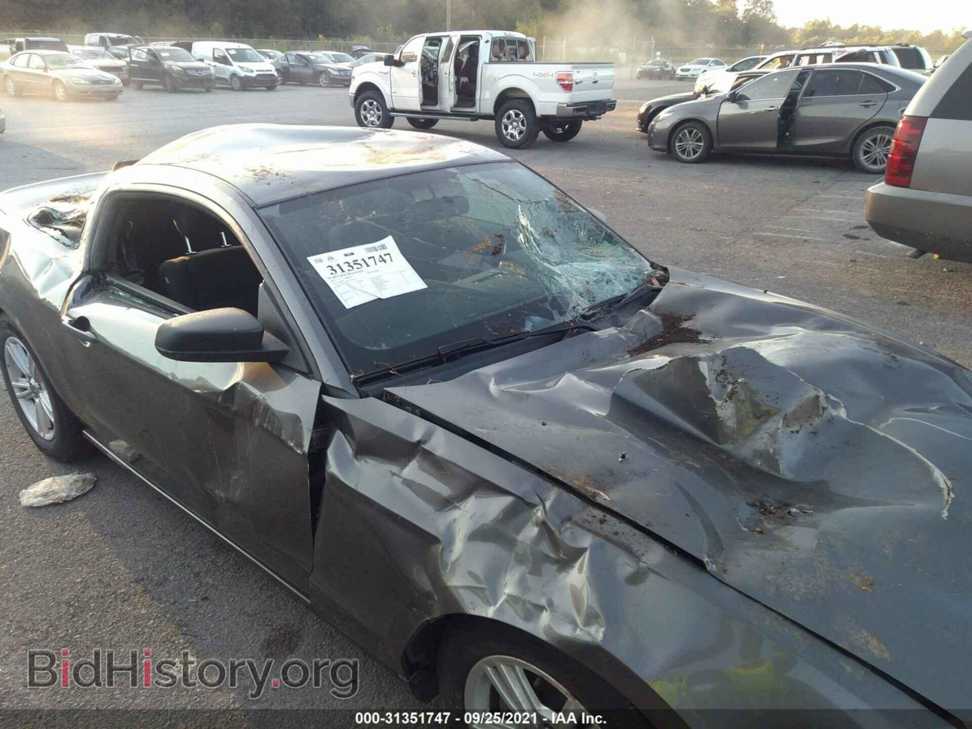 2014 FORD MUSTANG - VIN: 1ZVBP8AM4E5295941 - Фото 6