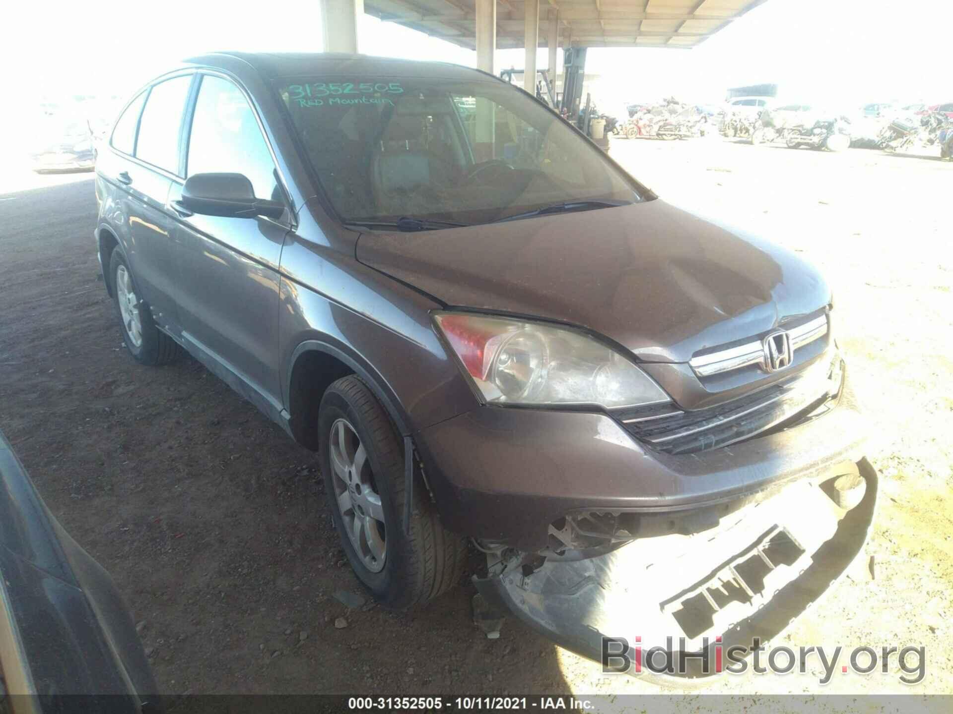 Photo 5J6RE38799L019566 - HONDA CR-V 2009