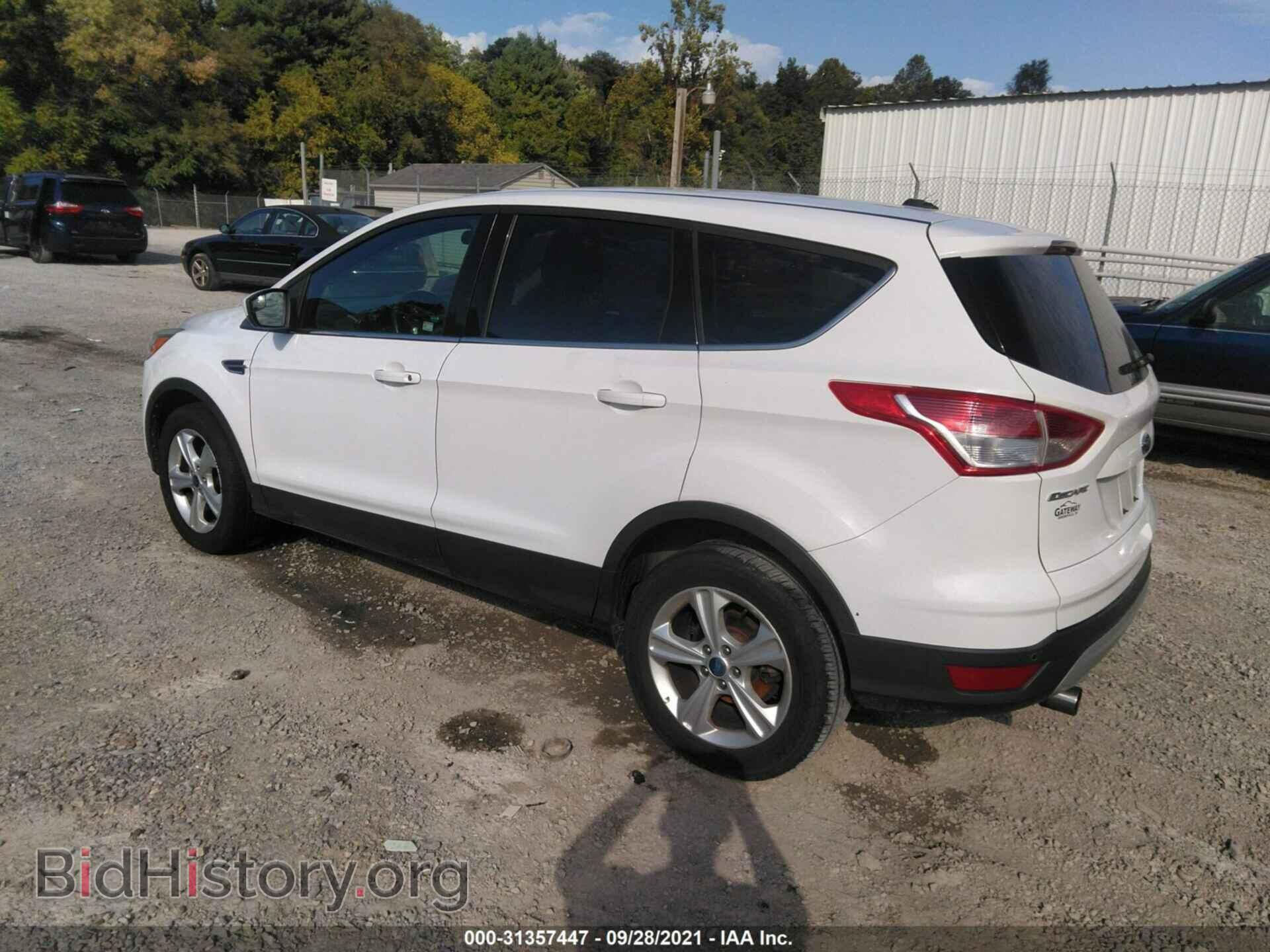 2013 FORD ESCAPE - VIN: 1FMCU0GX5DUA30397 - Фото 3