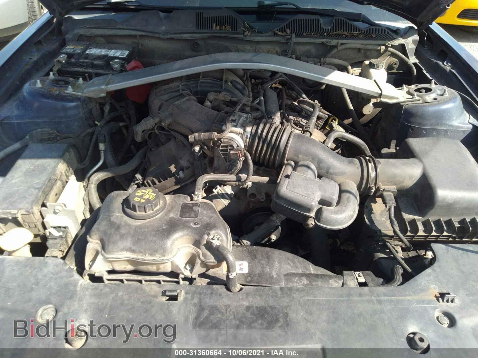 2011 FORD MUSTANG - VIN: 1ZVBP8EM1B5111240 - Фото 10