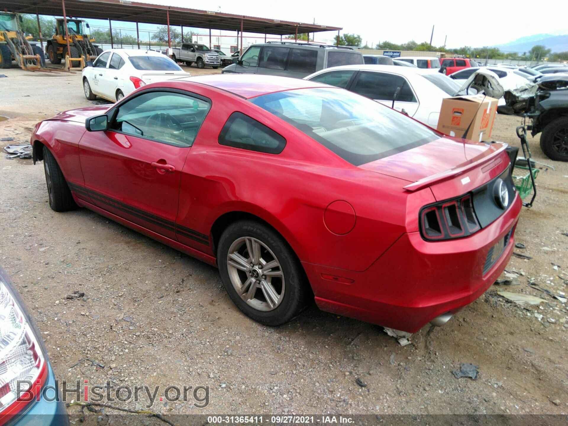 2013 FORD MUSTANG - VIN: 1ZVBP8AM8D5270698 - Фото 3