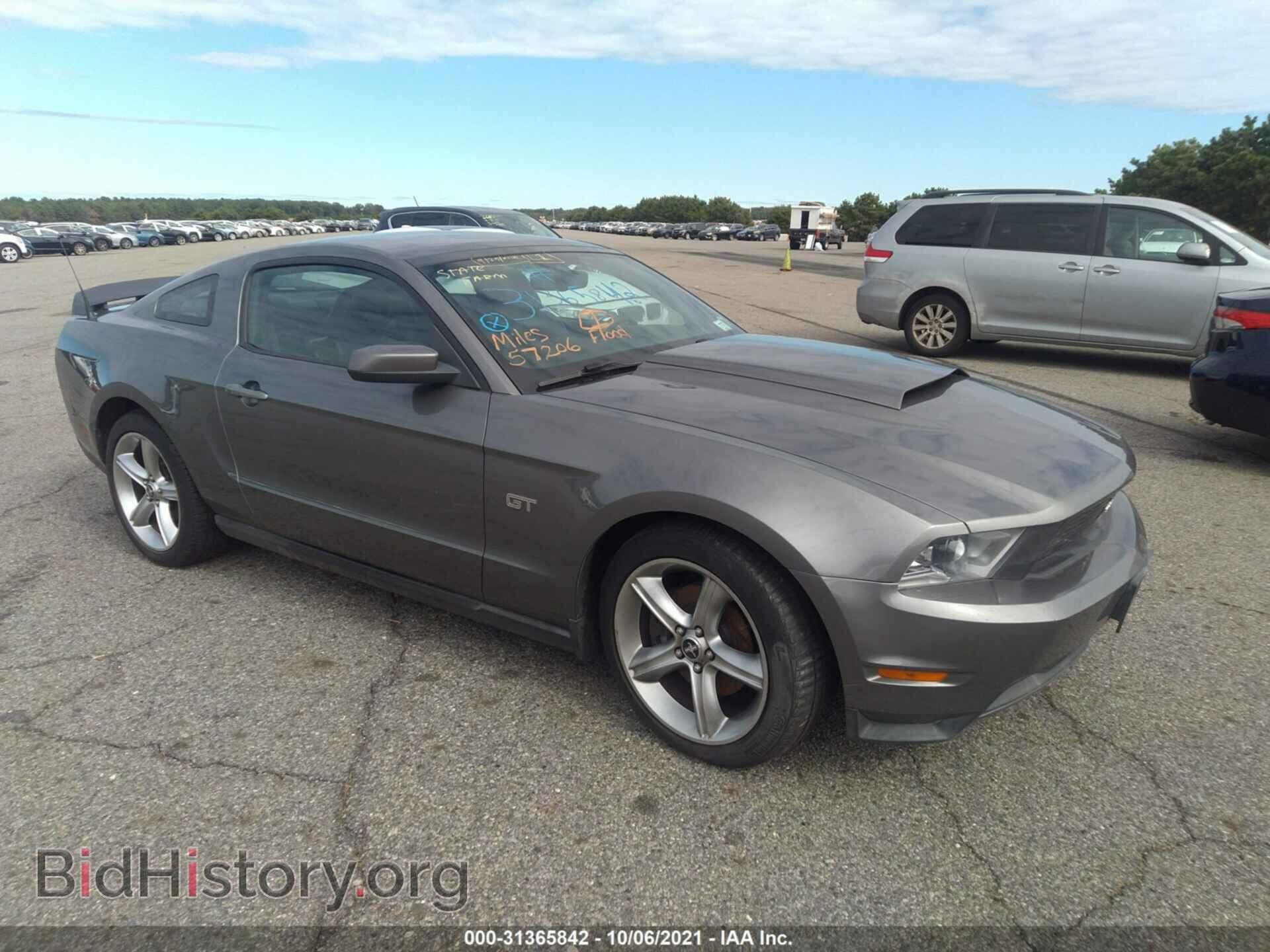 Фотография 1ZVBP8CH2A5133087 - FORD MUSTANG 2010