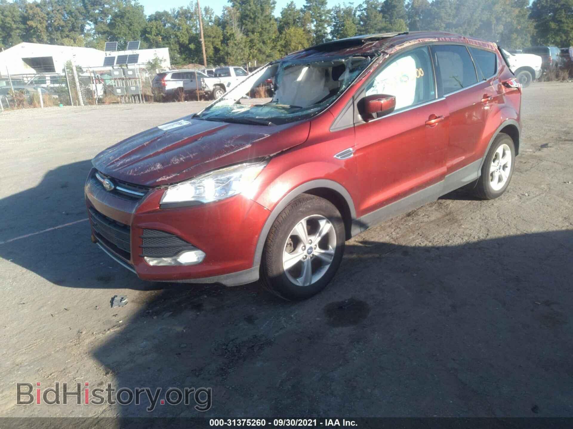 2014 FORD ESCAPE - VIN: 1FMCU0GX4EUA81360 - Фото 2