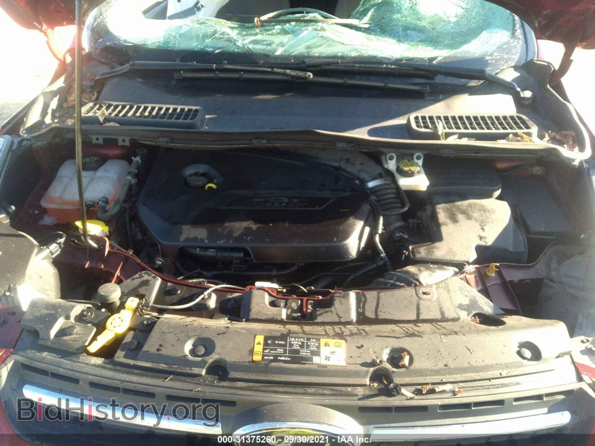 2014 FORD ESCAPE - VIN: 1FMCU0GX4EUA81360 - Фото 10
