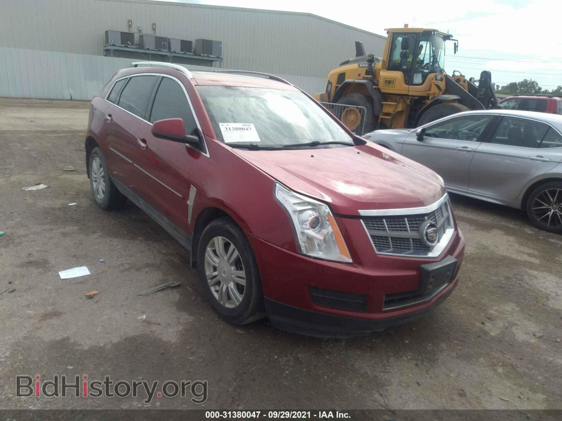 Photo 3GYFNAEY1BS517300 - CADILLAC SRX 2011