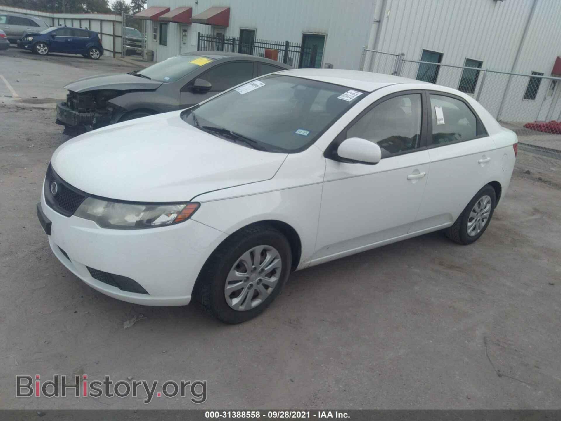 2010 KIA FORTE - VIN: KNAFT4A25A5820844 - Фото 2