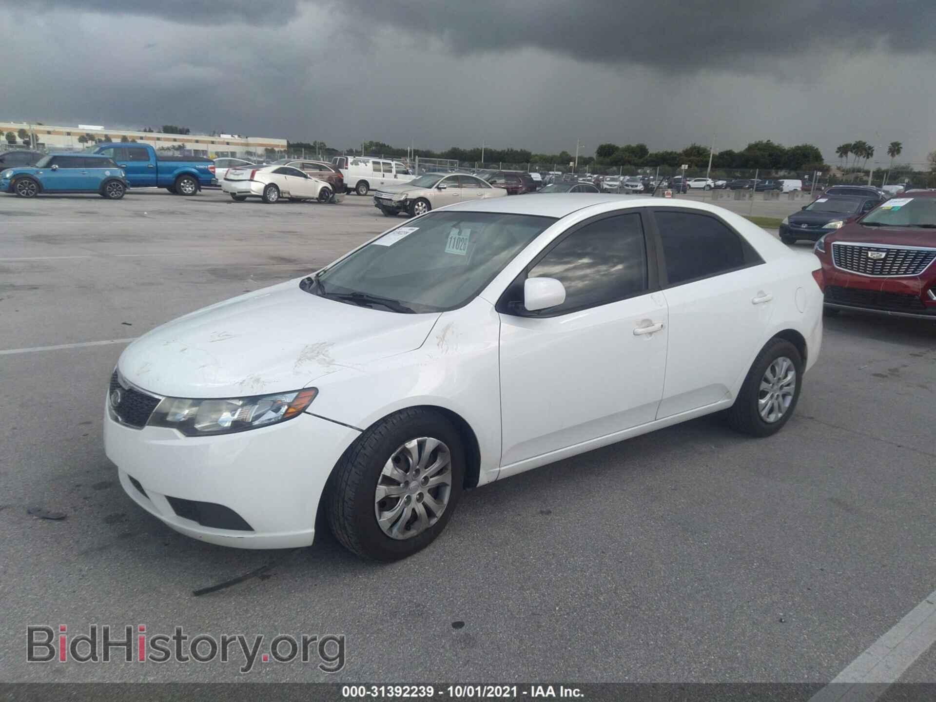 2013 KIA FORTE - VIN: KNAFT4A29D5678440 - Фото 2