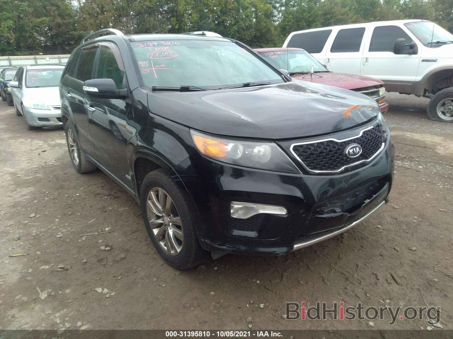 Photo 5XYKWDA20BG174789 - KIA SORENTO 2011